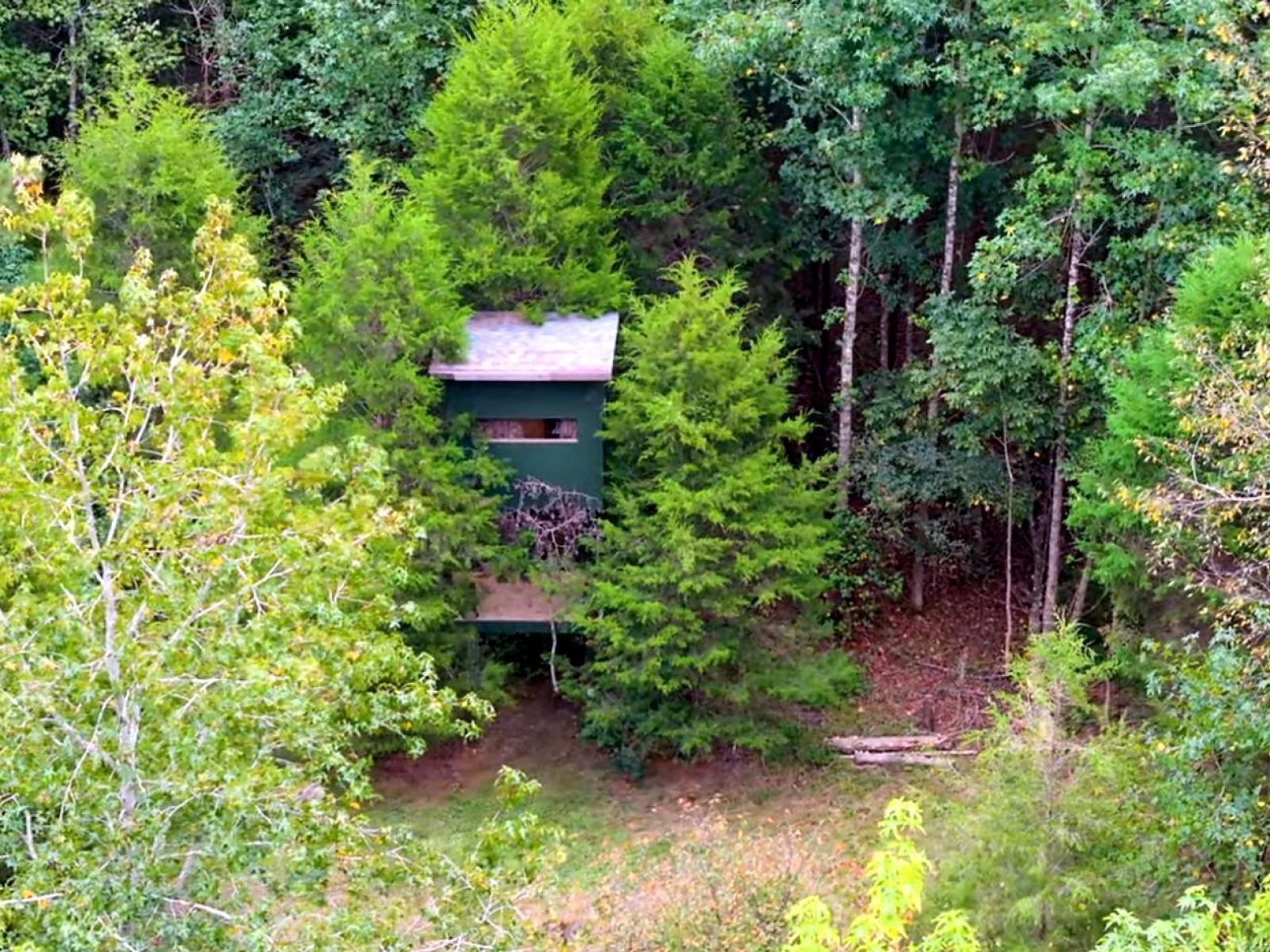 255 Hartley Rd Property Photo 36