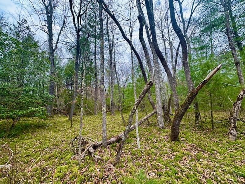 144 Gunter Place Rd Property Photo 1