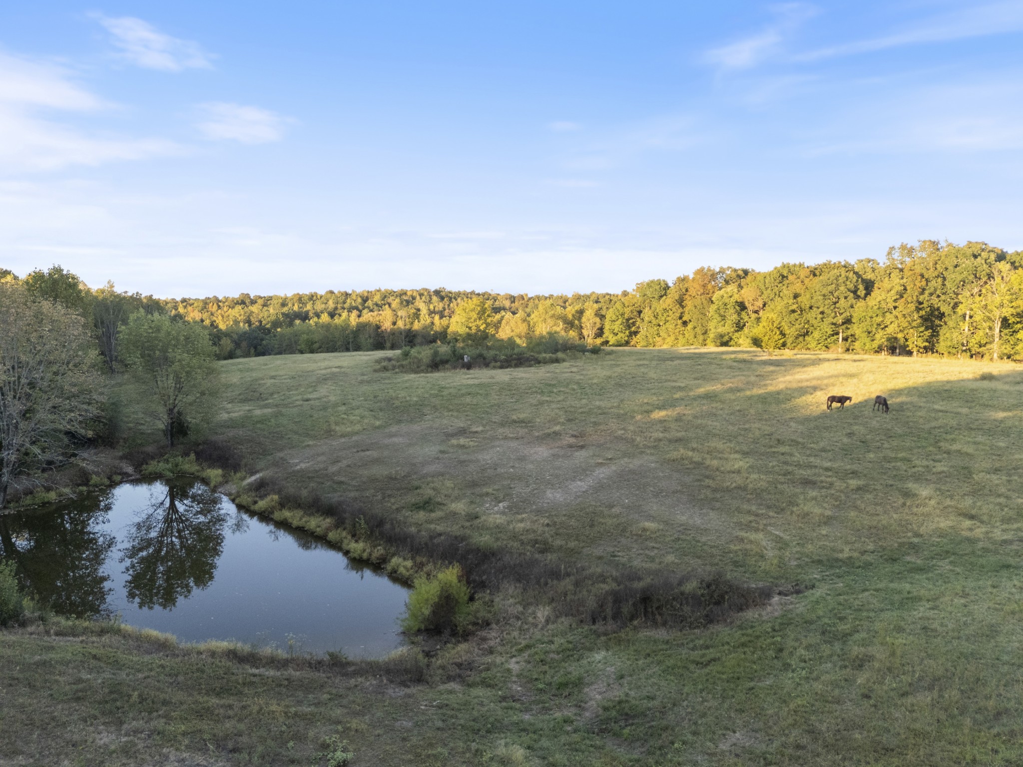 6288 Us Highway 70, E Property Photo 23