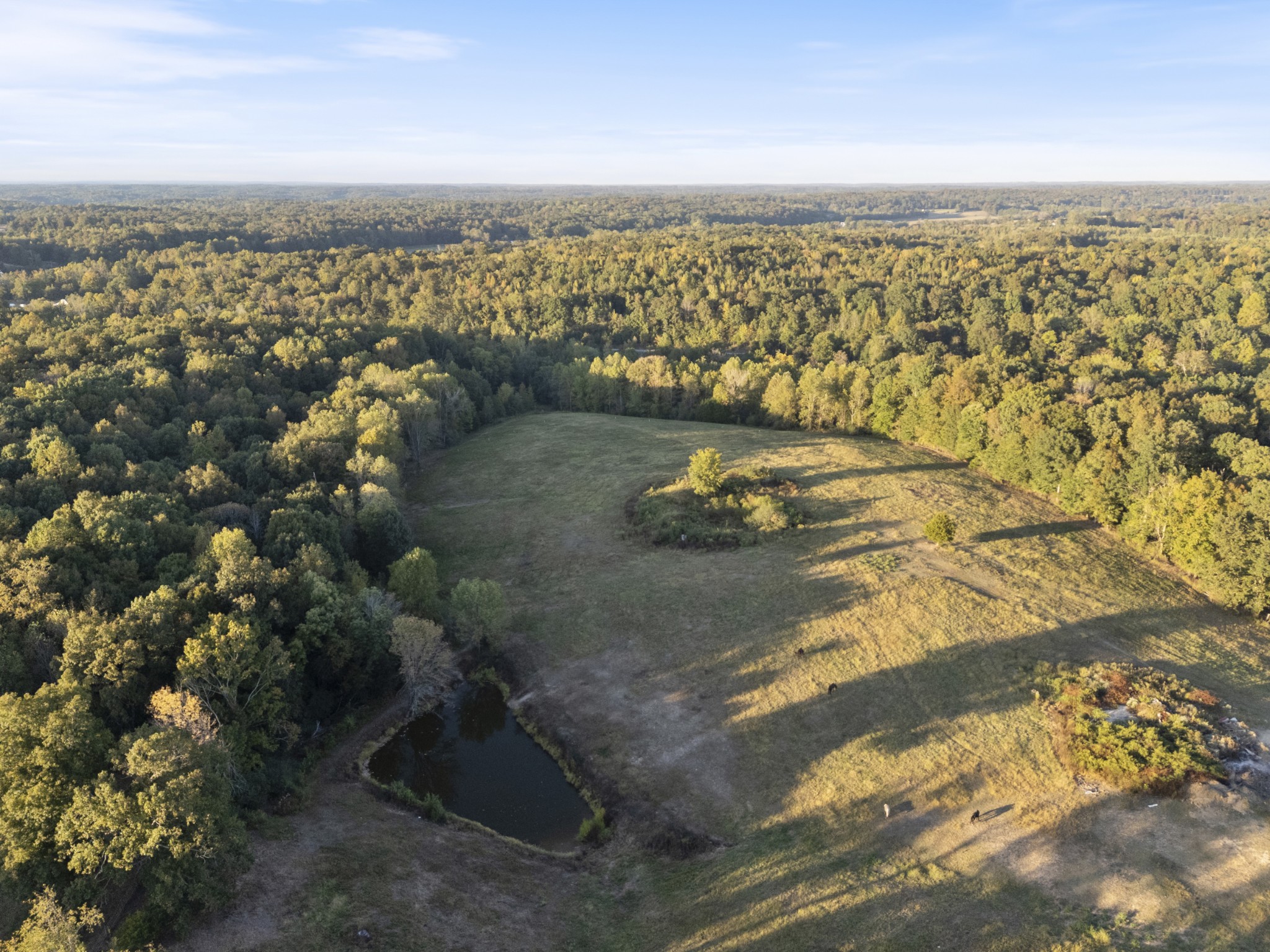 6288 Us Highway 70, E Property Photo 48