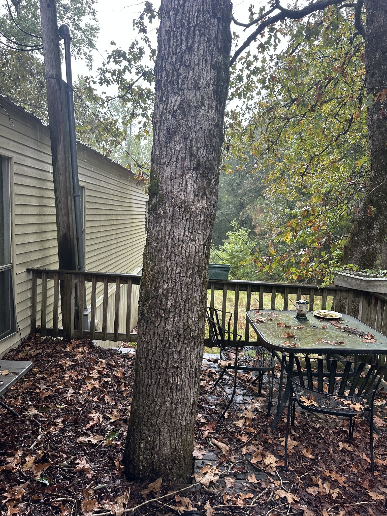 151 Wilson Cemetery Rd Property Photo 23