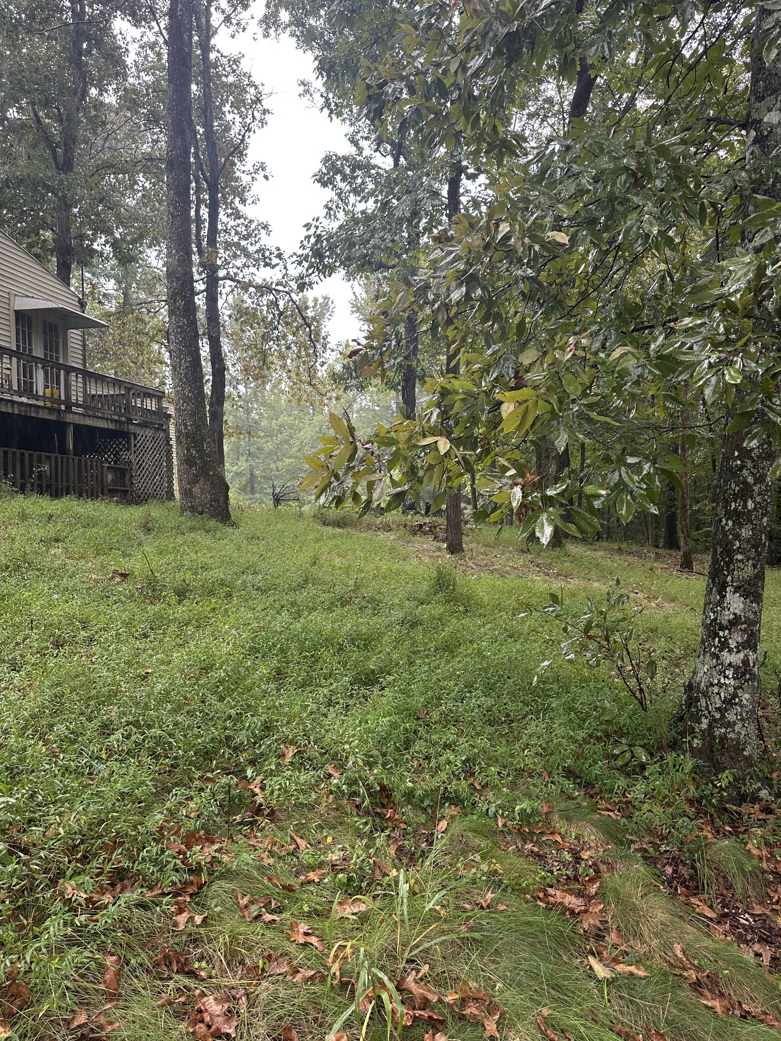 151 Wilson Cemetery Rd Property Photo 27
