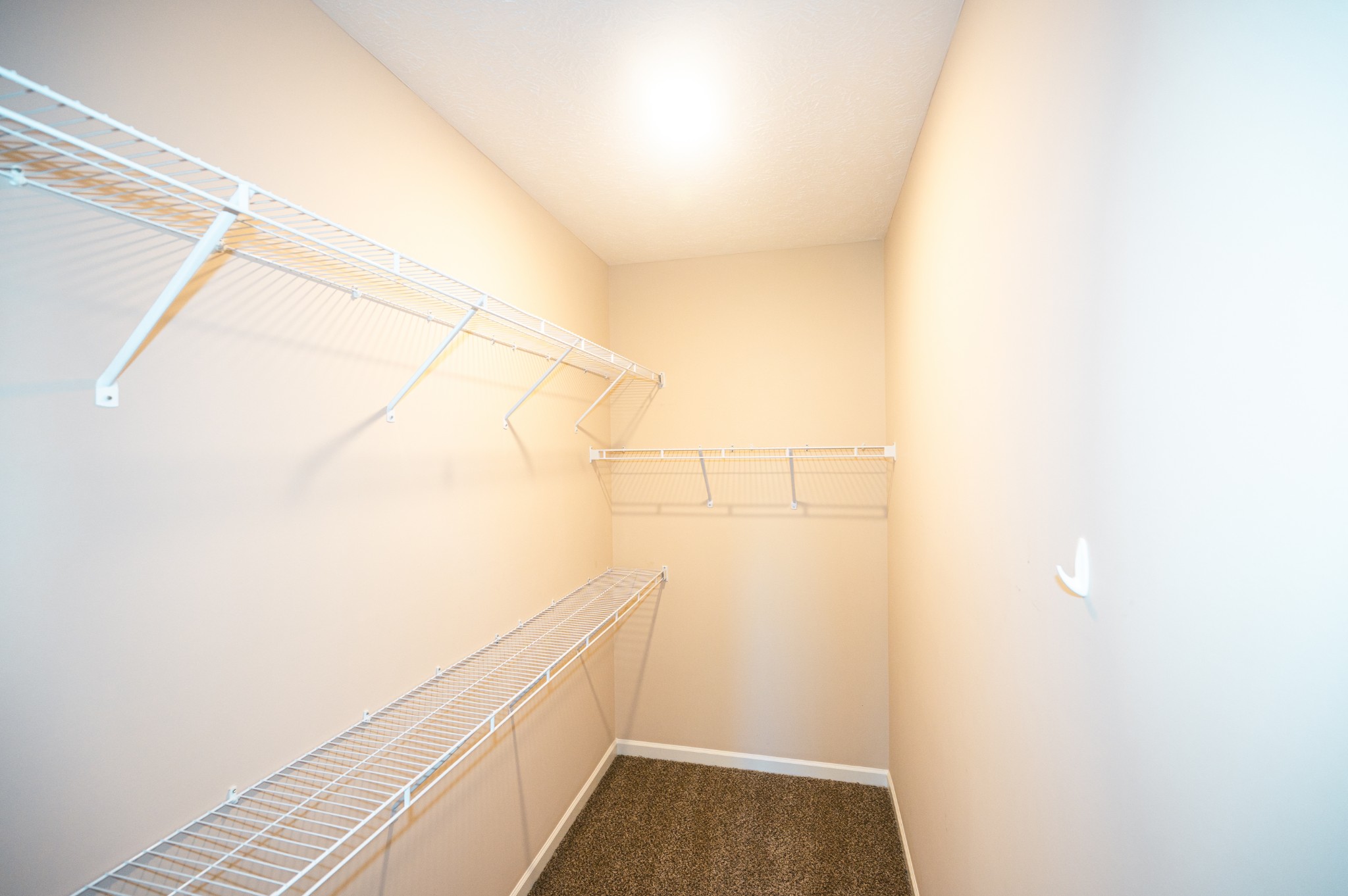 1635 Alysheba Run Property Photo 21