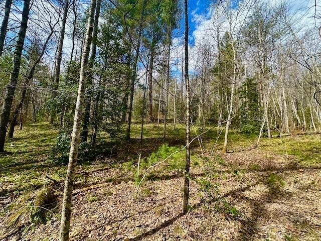 144 Gunter Place Rd Property Photo 1