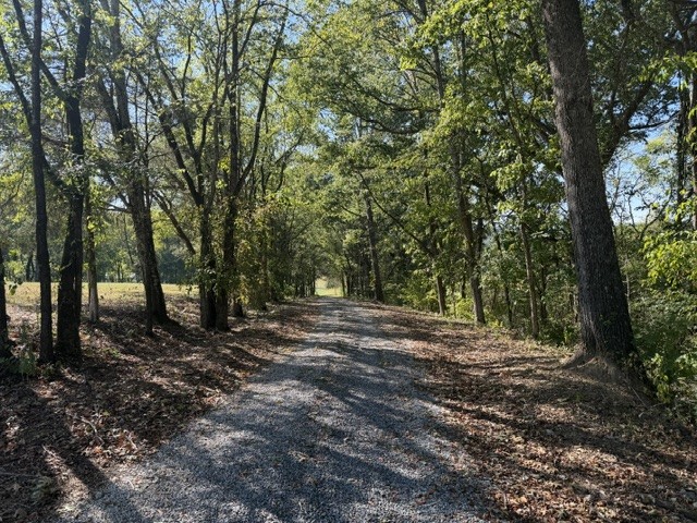 284 Kelso Mulberry Rd Property Photo 23