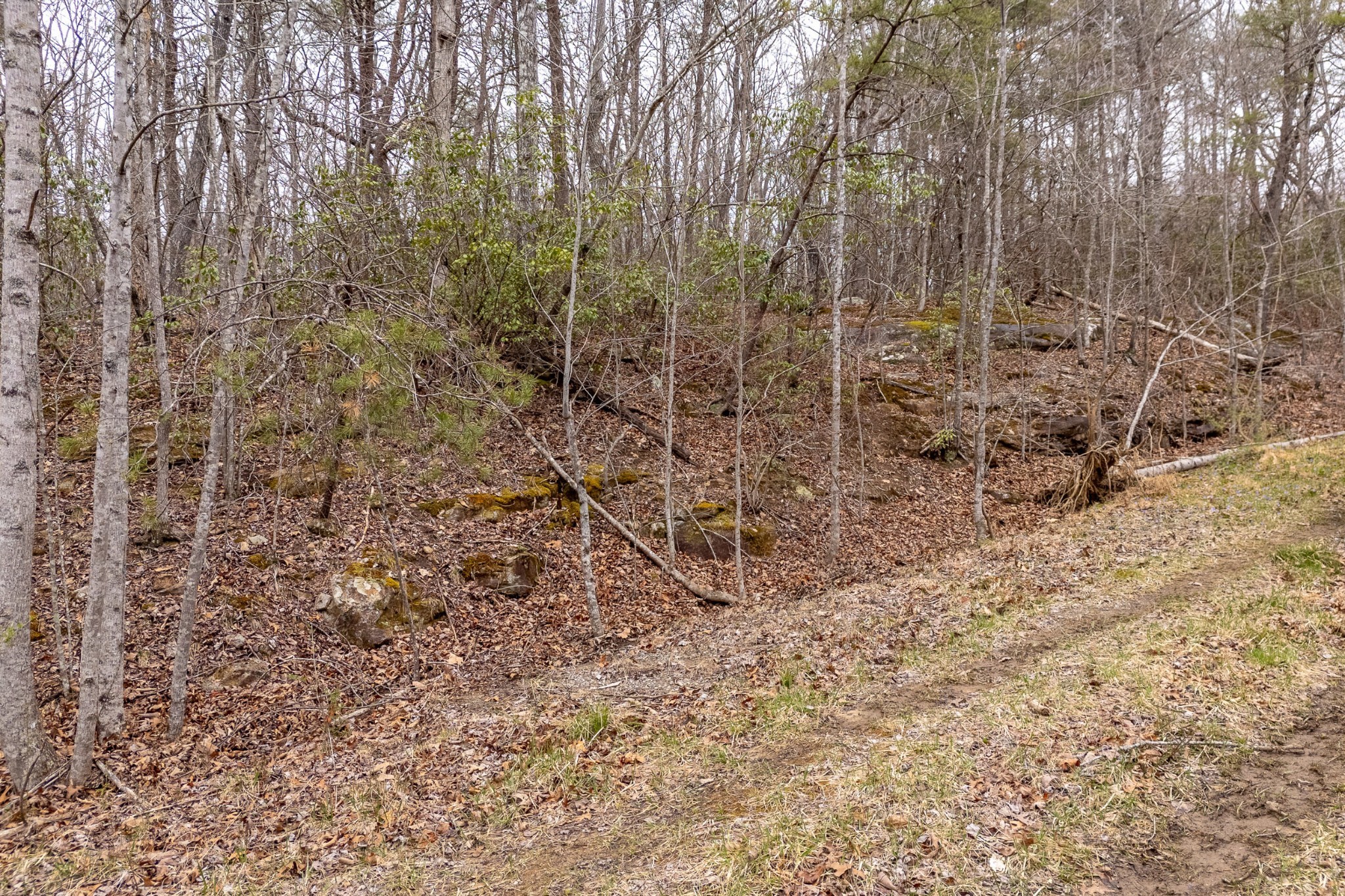 106 Warrington Rd Property Photo 4