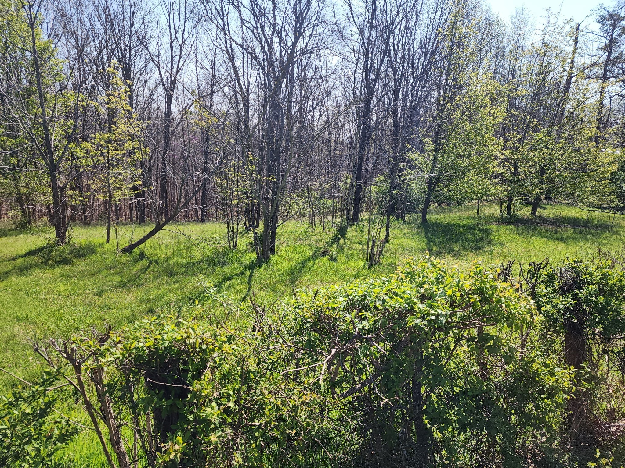 1 Davis Hollow Rd Property Photo 5