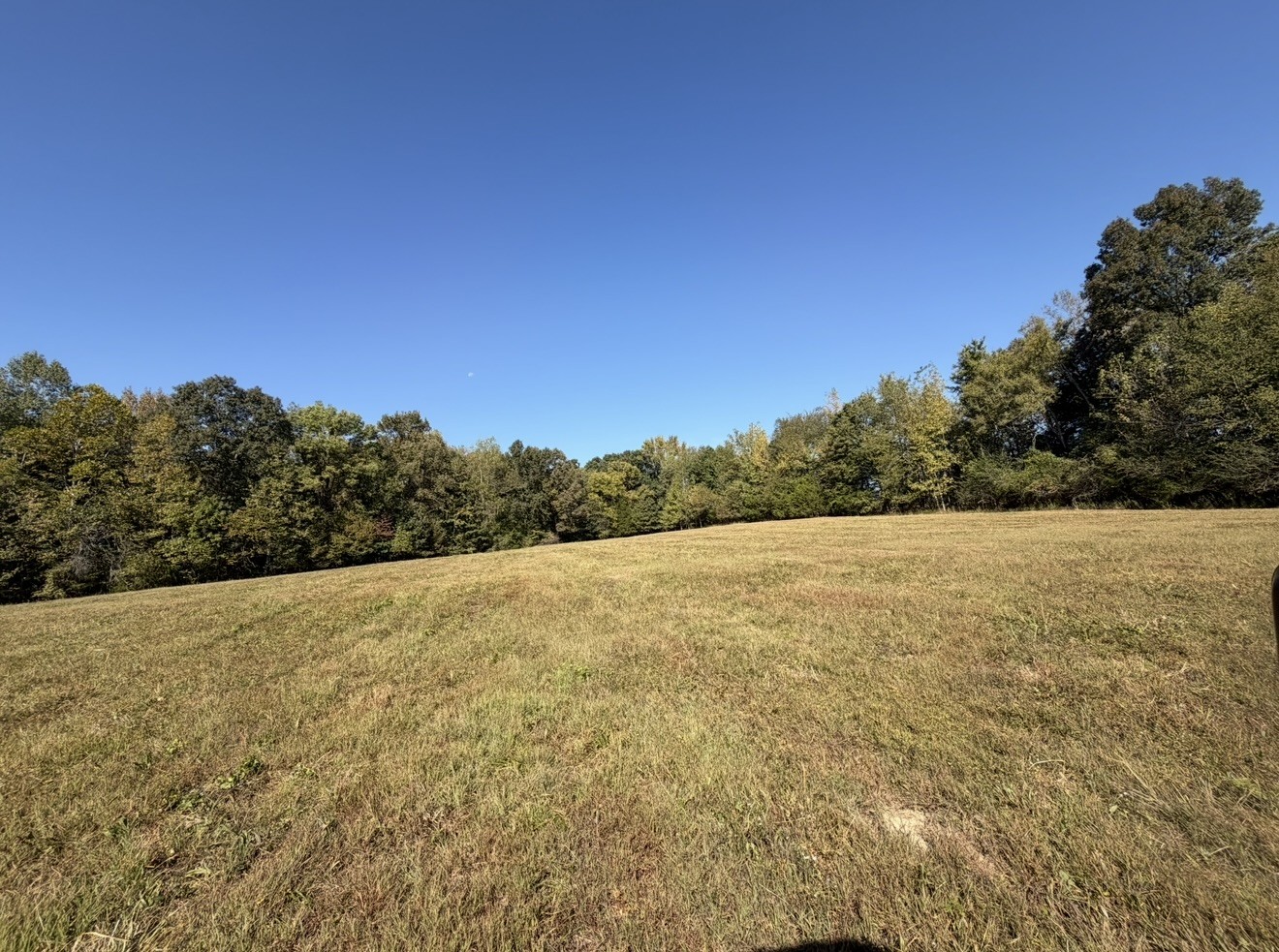 0 Davis Hollow Rd Property Photo 1