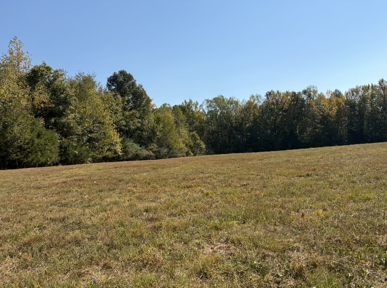 0 Davis Hollow Rd Property Photo 2