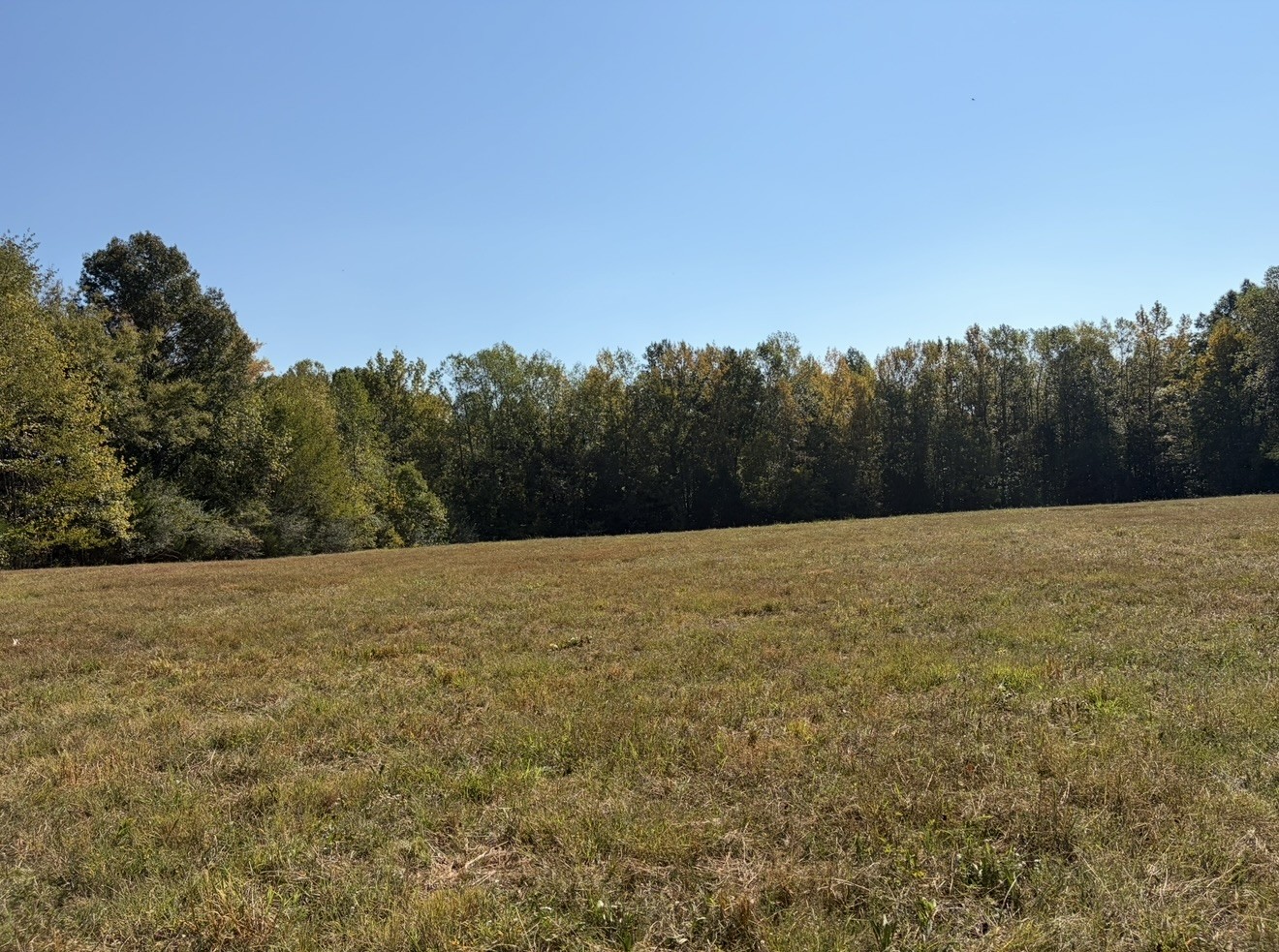 0 Davis Hollow Rd Property Photo 3