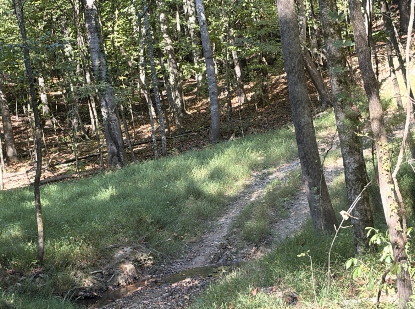 0 Davis Hollow Rd Property Photo 5