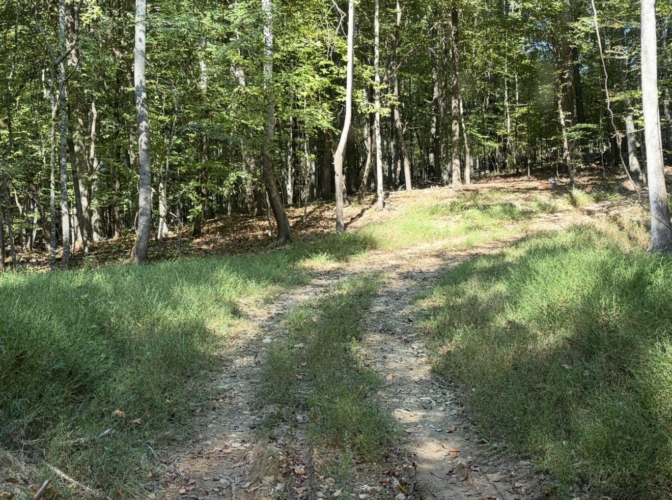 0 Davis Hollow Rd Property Photo 7