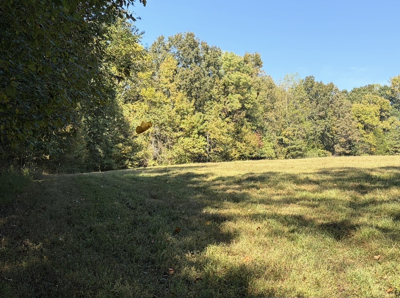 0 Davis Hollow Rd Property Photo 10