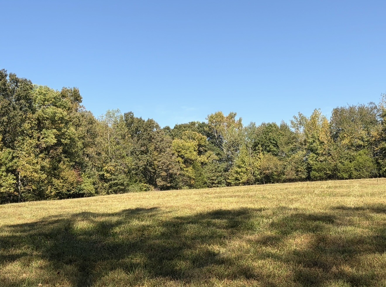 0 Davis Hollow Rd Property Photo 11