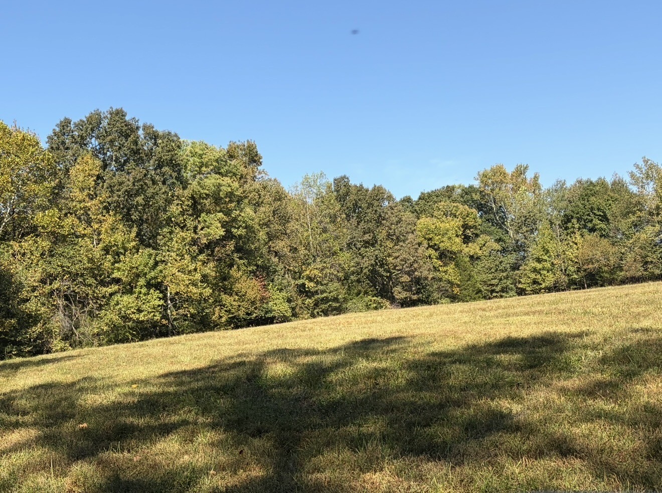 0 Davis Hollow Rd Property Photo 12