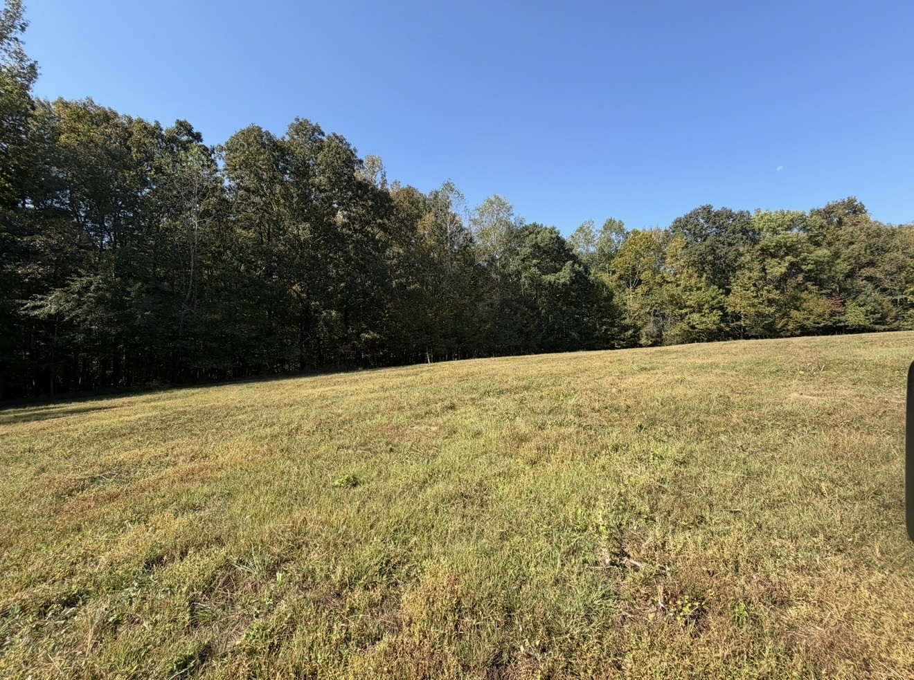 0 Davis Hollow Rd Property Photo 13