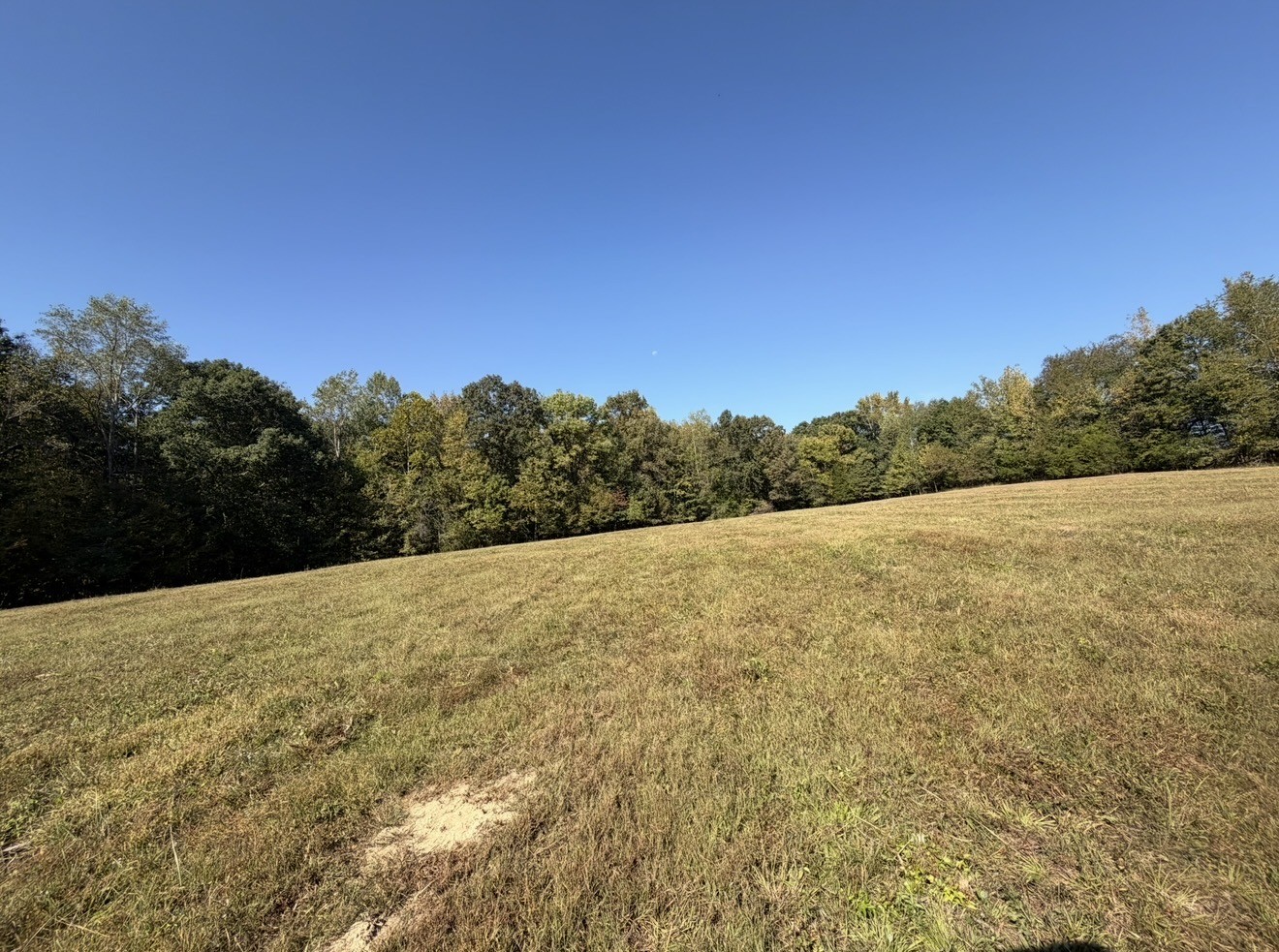 0 Davis Hollow Rd Property Photo 14
