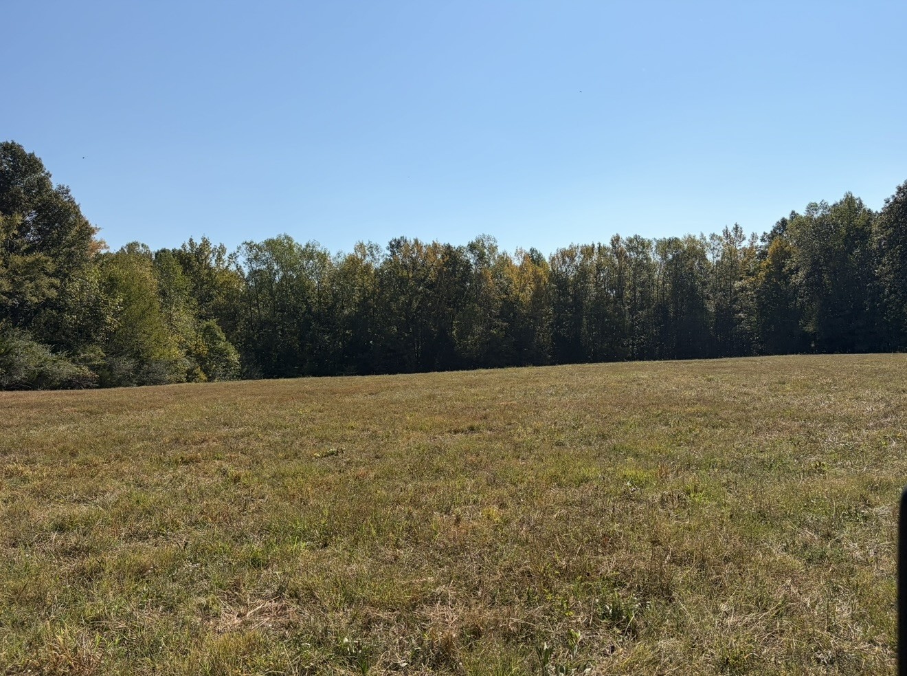 0 Davis Hollow Rd Property Photo 15