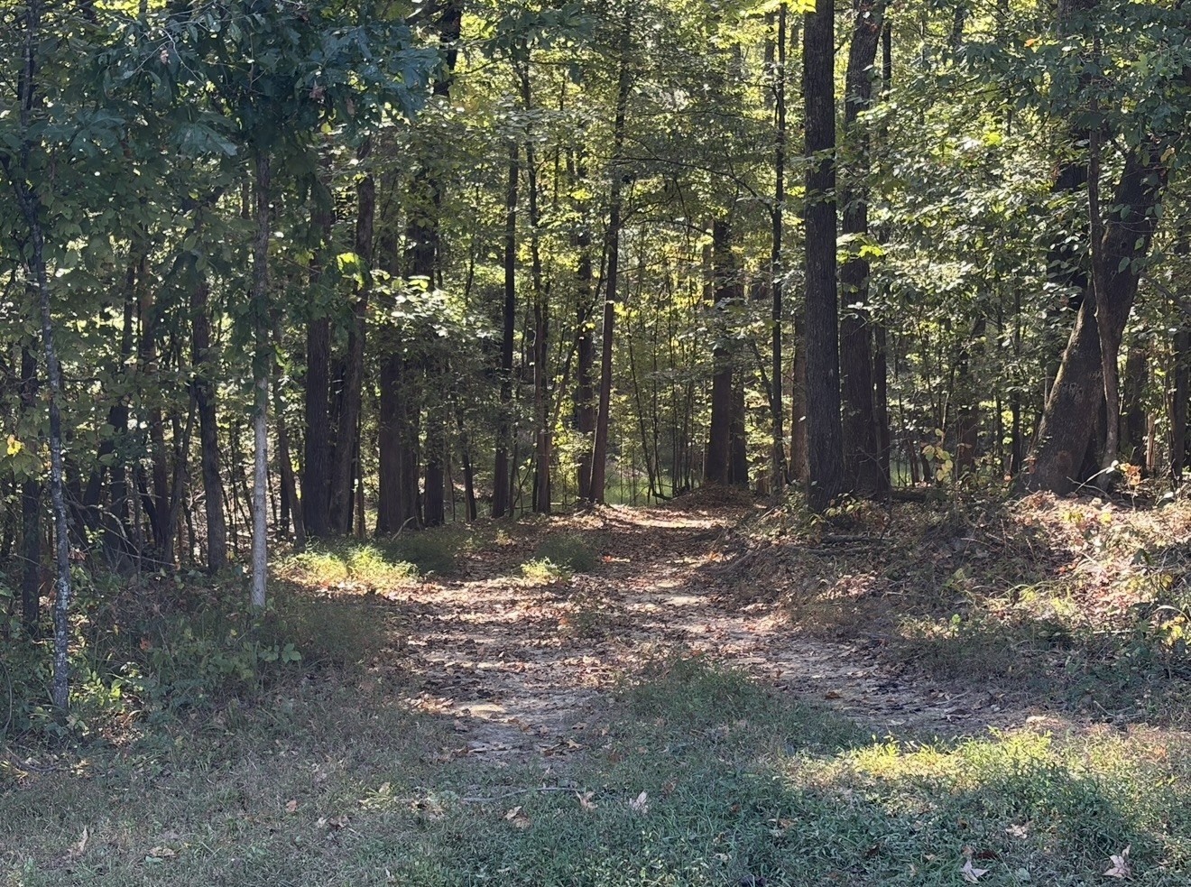 0 Davis Hollow Rd Property Photo 16