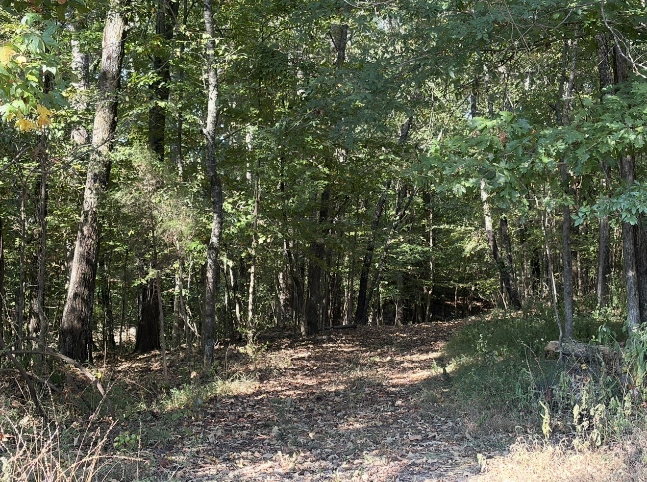 0 Davis Hollow Rd Property Photo 17