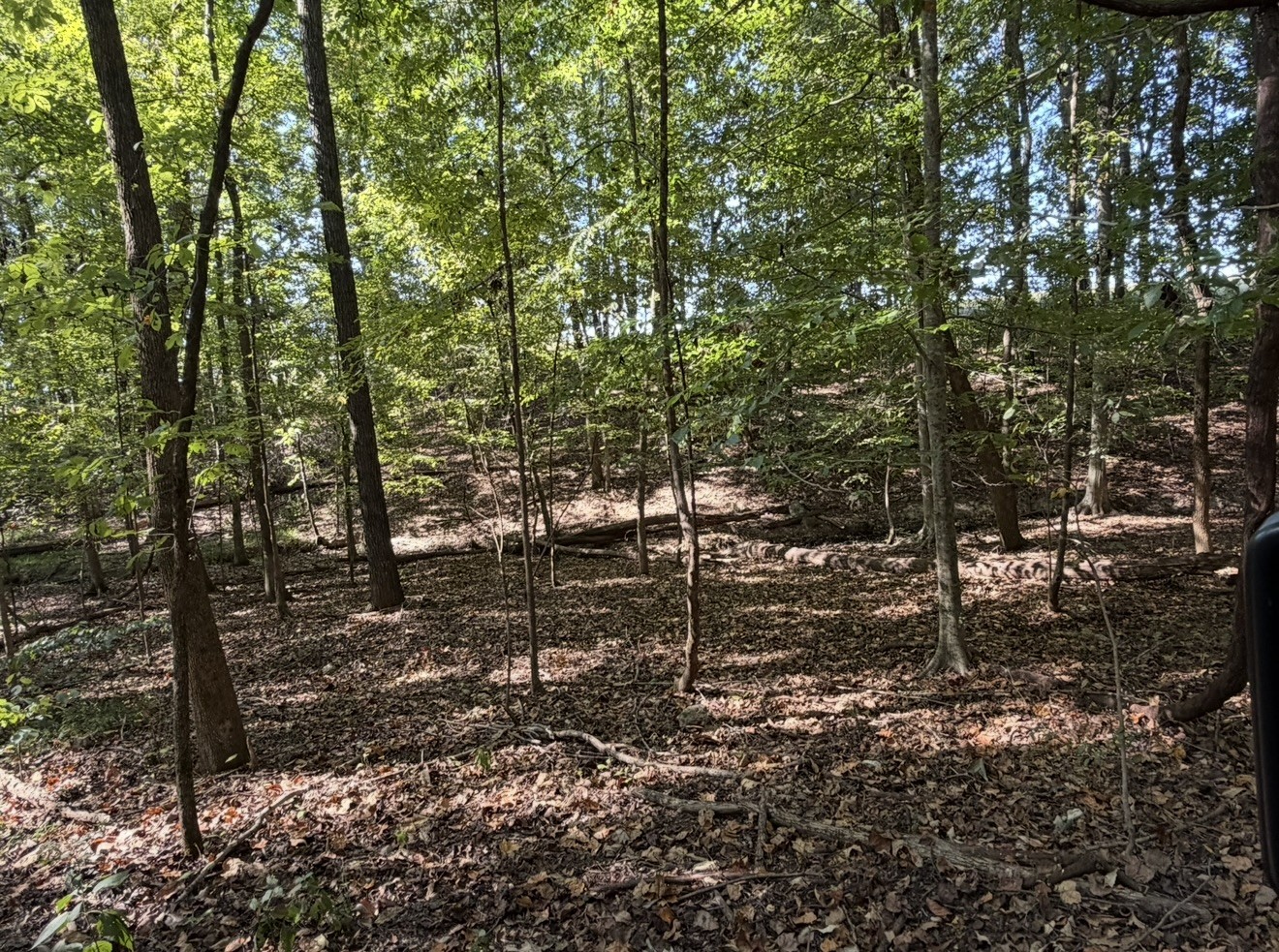 0 Davis Hollow Rd Property Photo 18