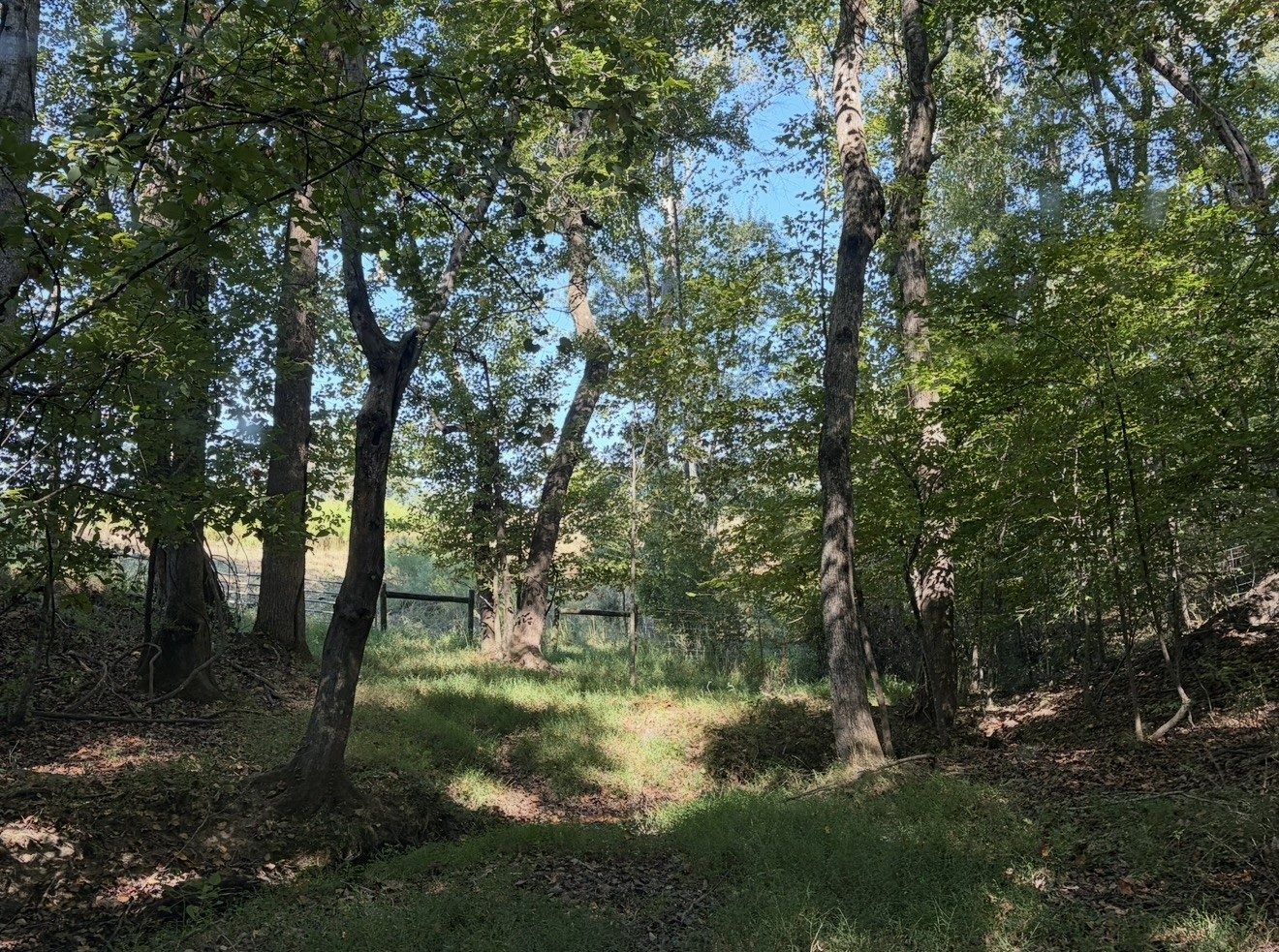 0 Davis Hollow Rd Property Photo 19