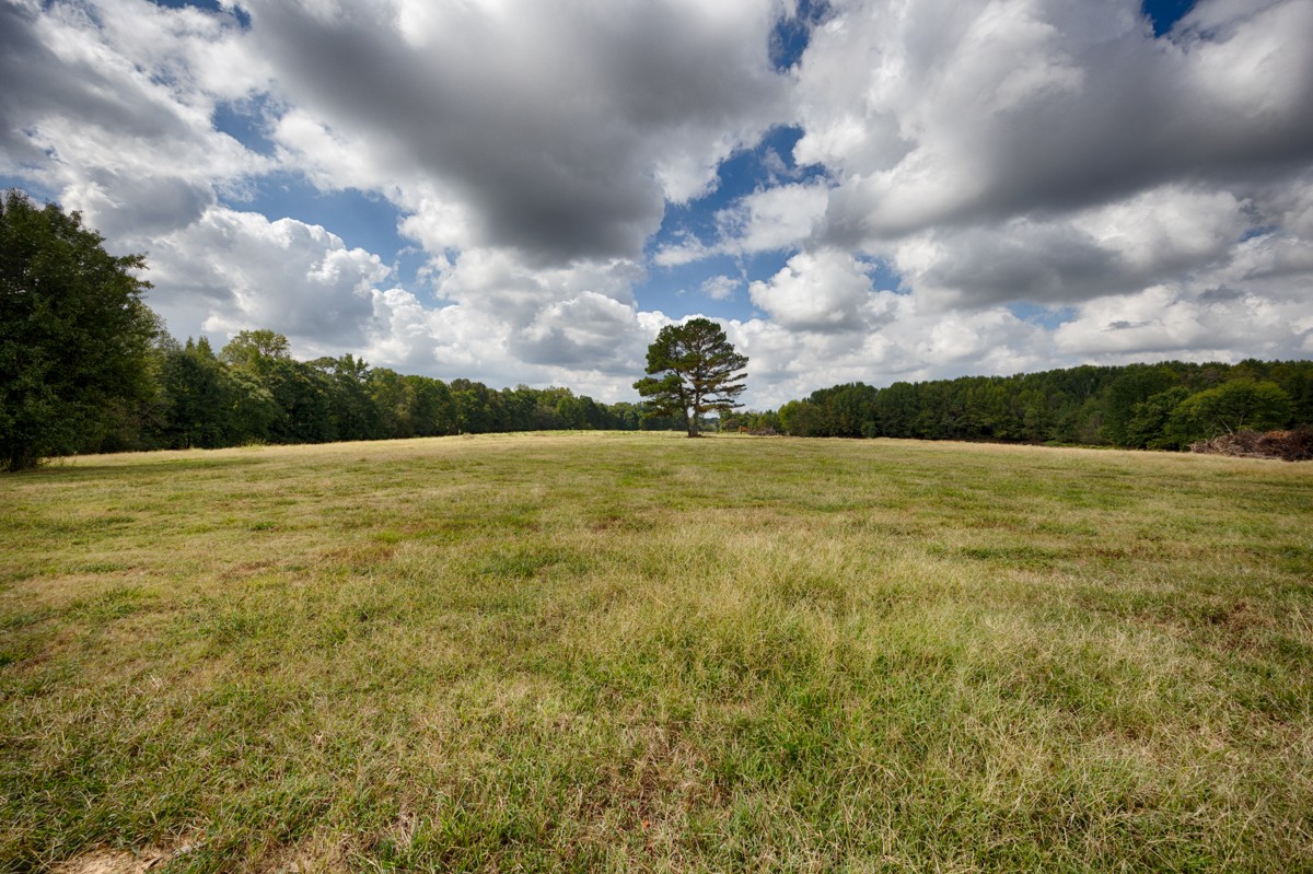 30780 Al Highway 53 Property Photo 40