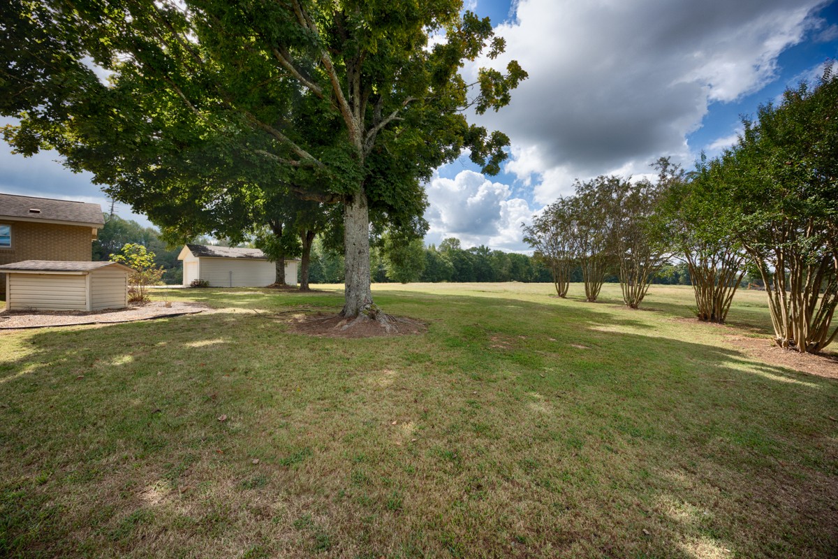 30780 Al Highway 53 Property Photo 41