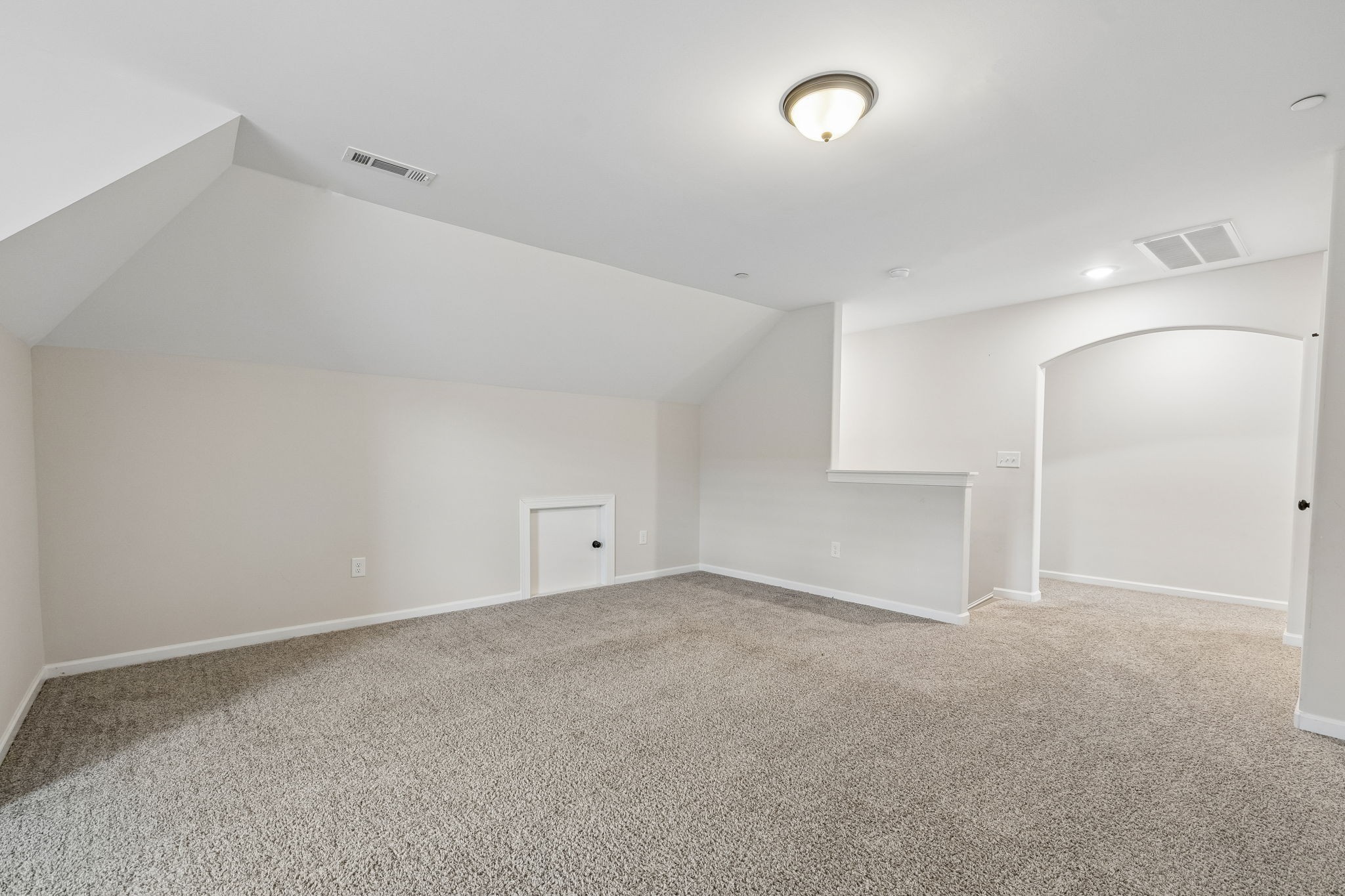 1223 Bear Branch Cir Property Photo 43