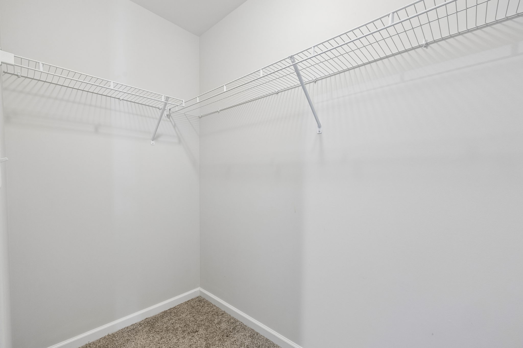 1223 Bear Branch Cir Property Photo 50
