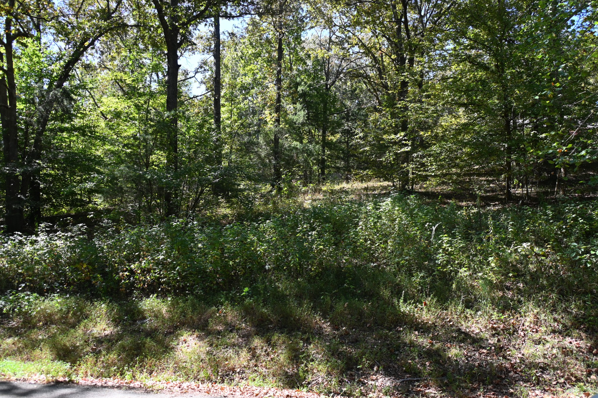 112 Phillips Dr Property Photo 34