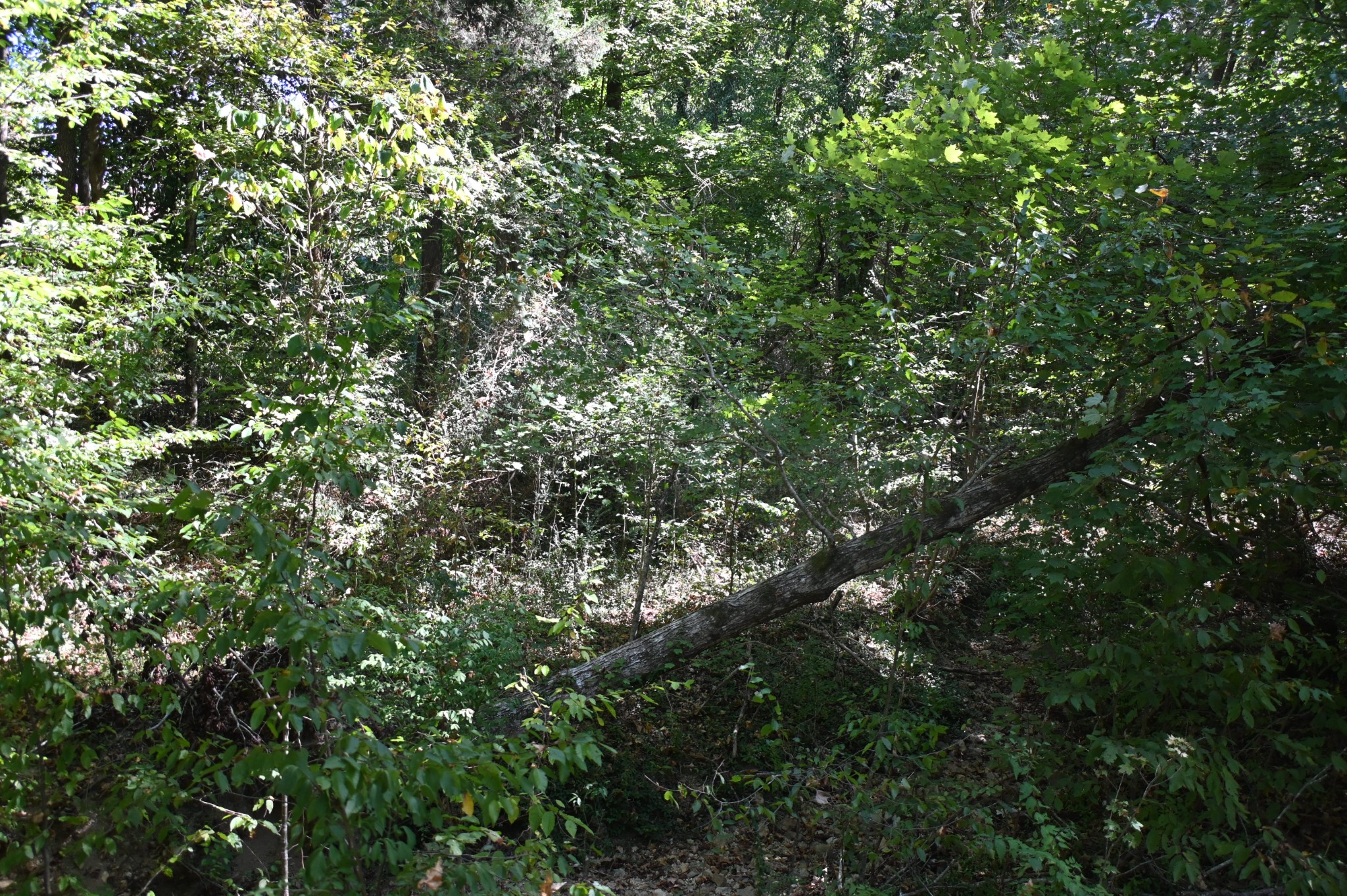 112 Phillips Dr Property Photo 36