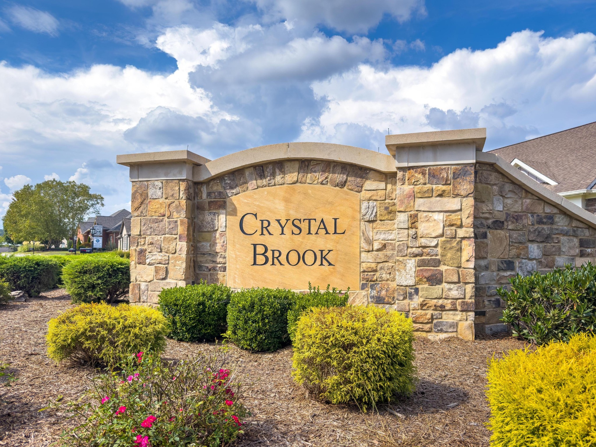 9133 Crystal Brook Drive Property Photo 55