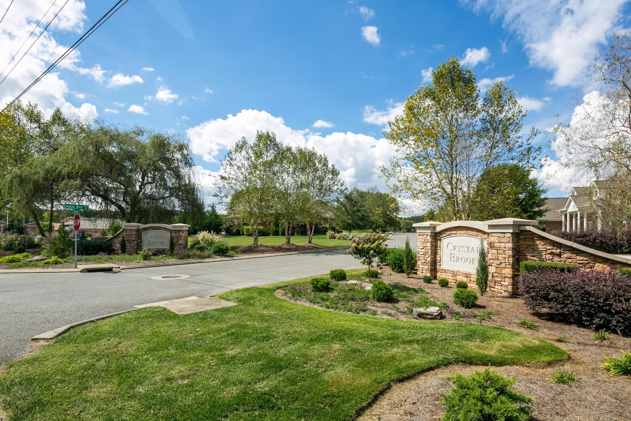 9133 Crystal Brook Drive Property Photo 56