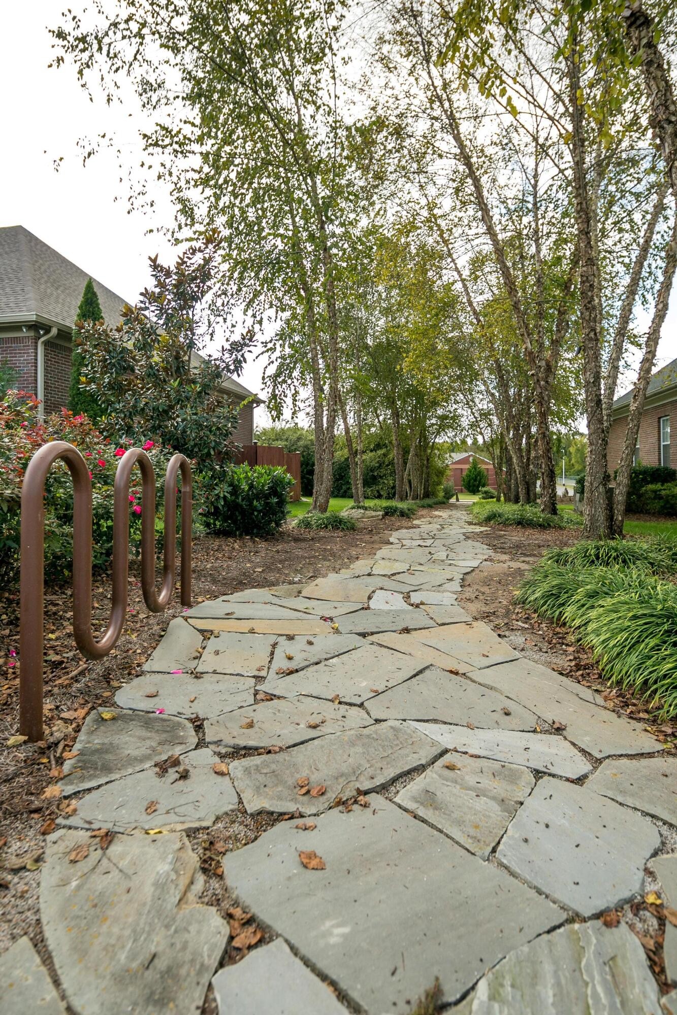 9133 Crystal Brook Drive Property Photo 57