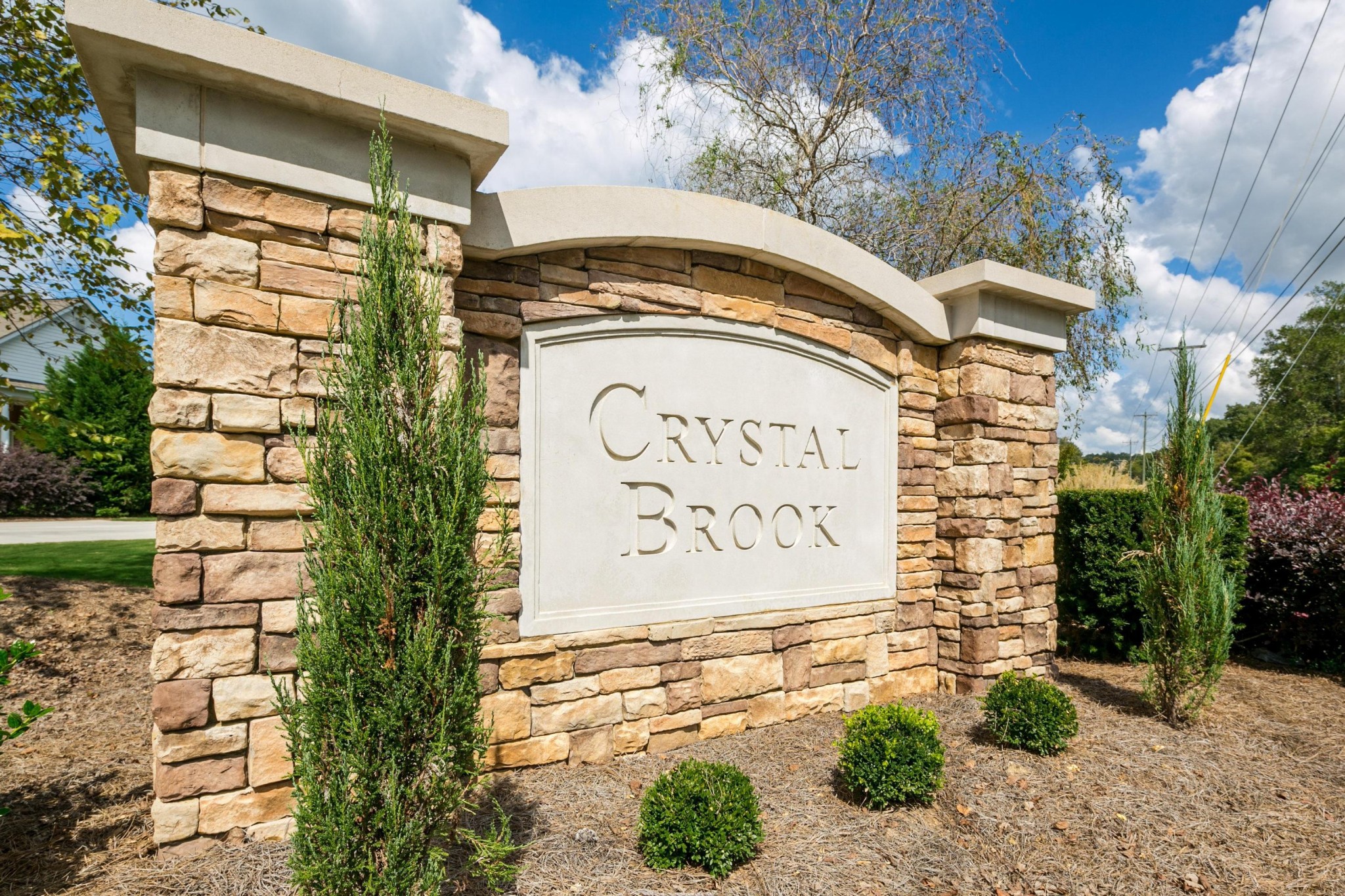9133 Crystal Brook Drive Property Photo 60