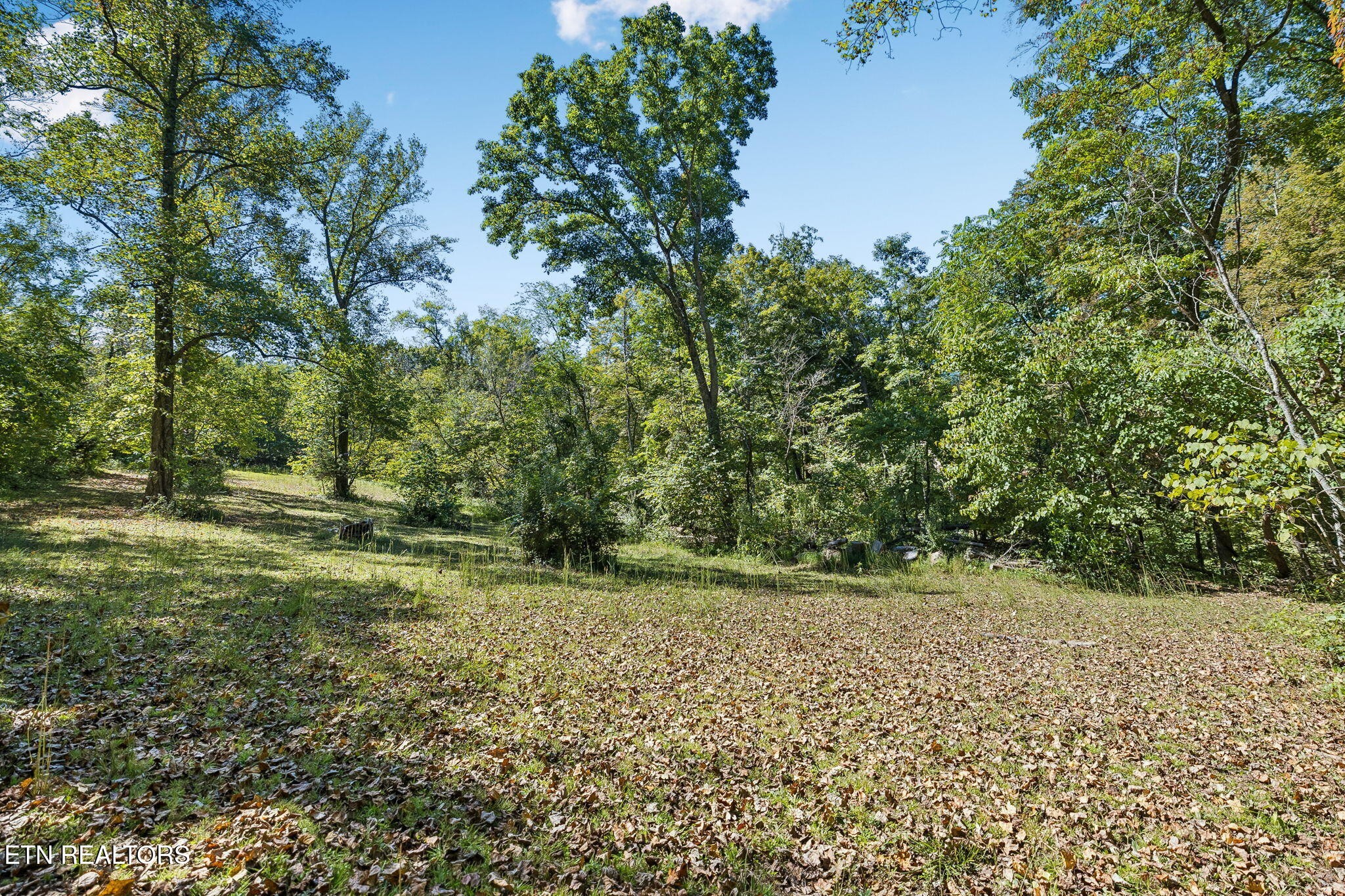 1813 Oak Grove Rd Property Photo 34