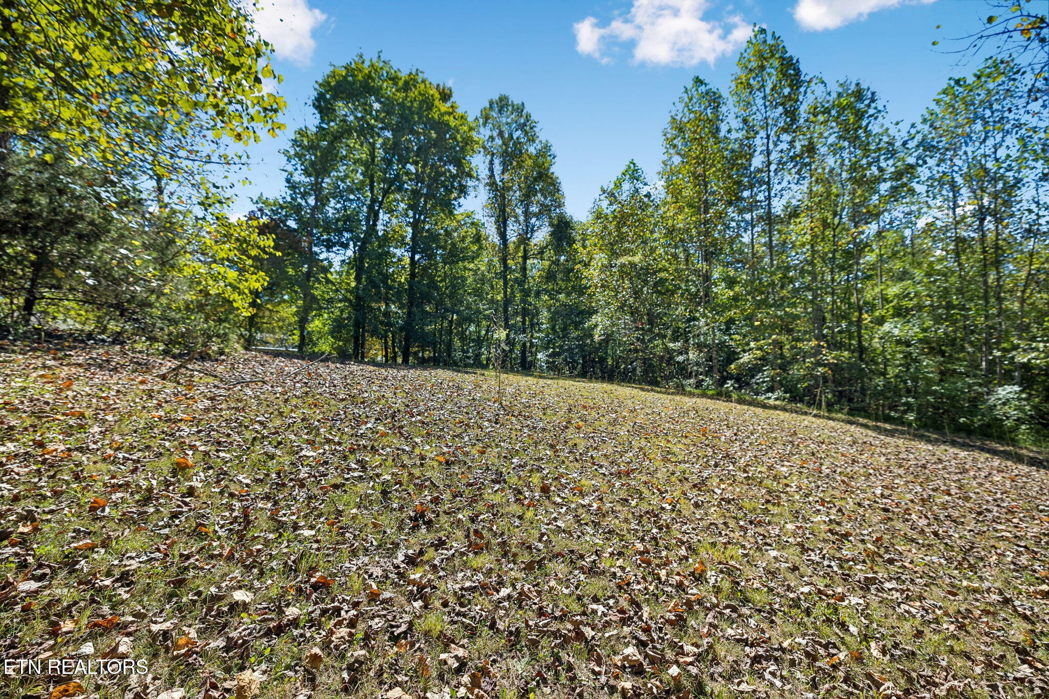 1813 Oak Grove Rd Property Photo 35