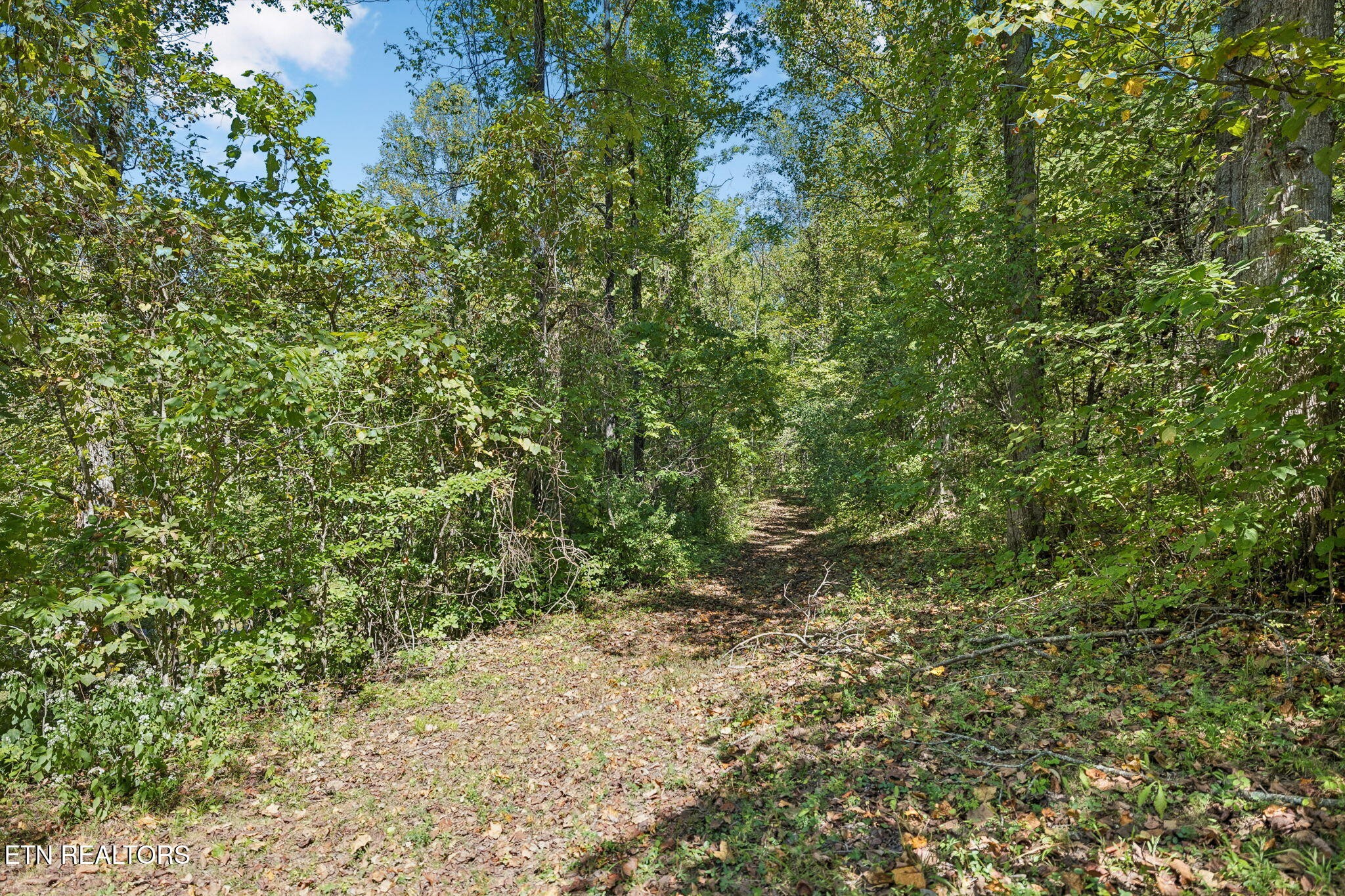 1813 Oak Grove Rd Property Photo 36