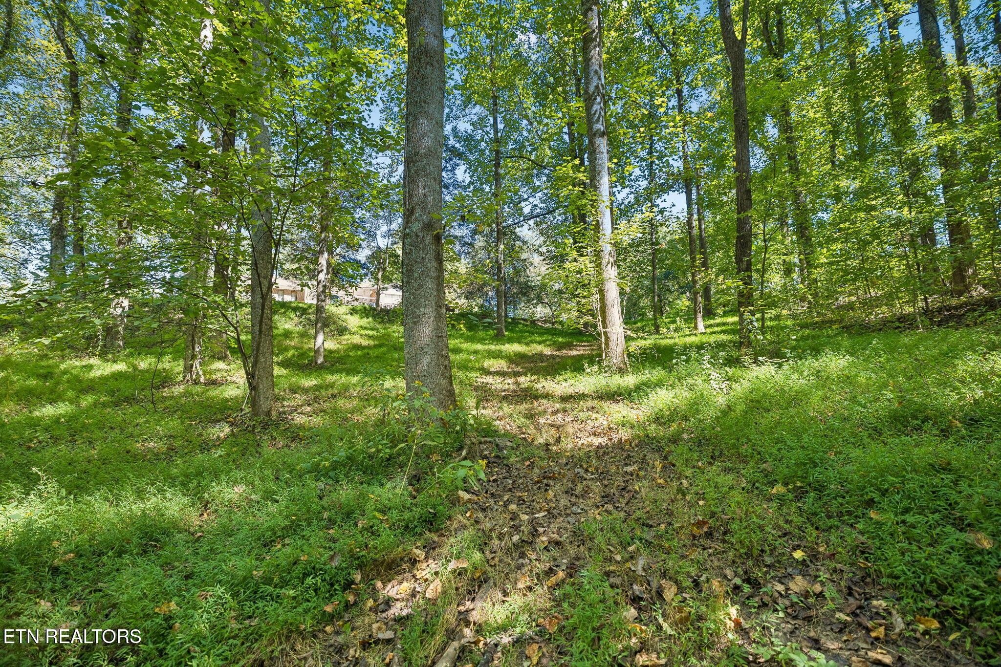 1813 Oak Grove Rd Property Photo 37