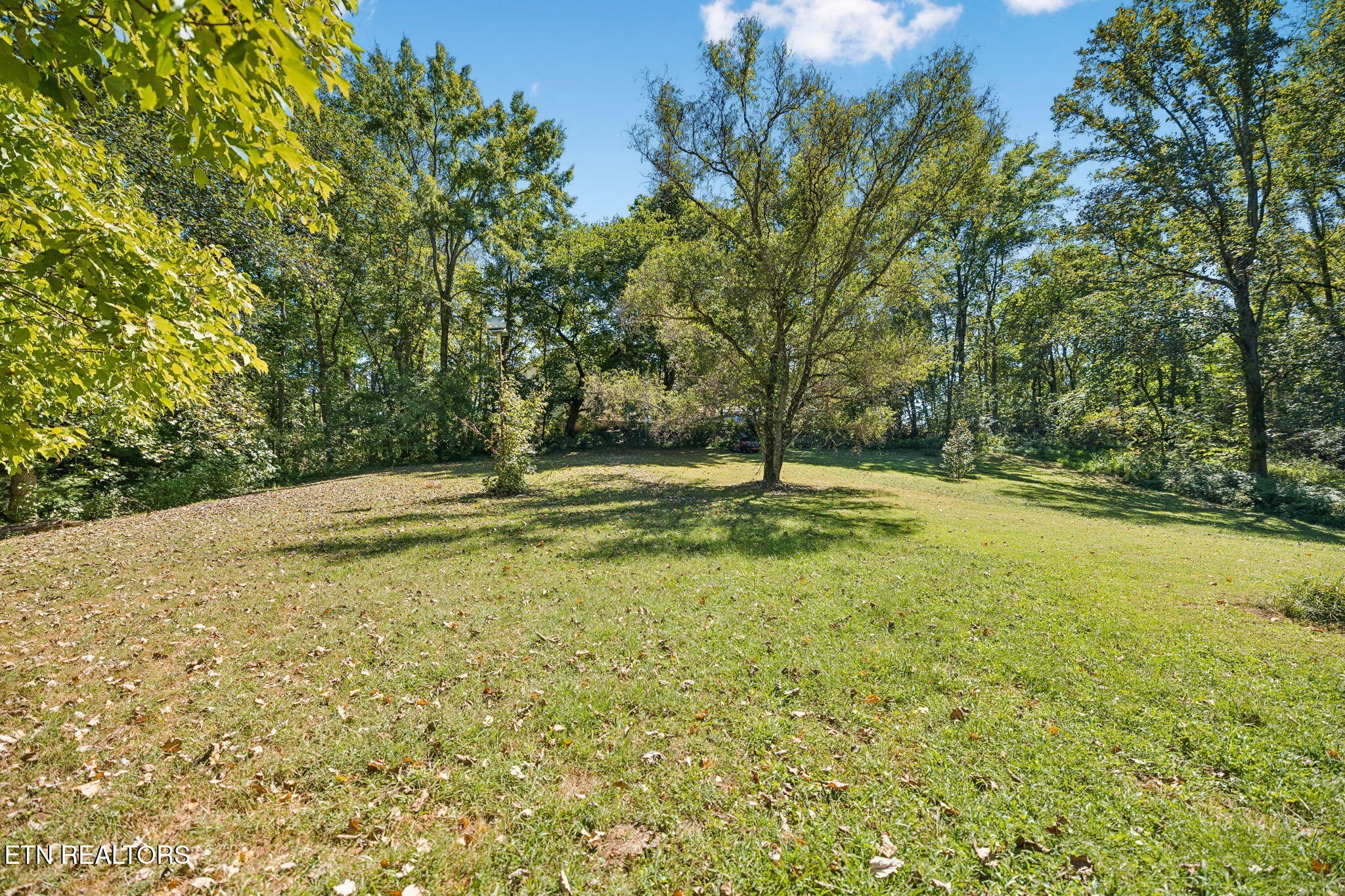 1813 Oak Grove Rd Property Photo 39