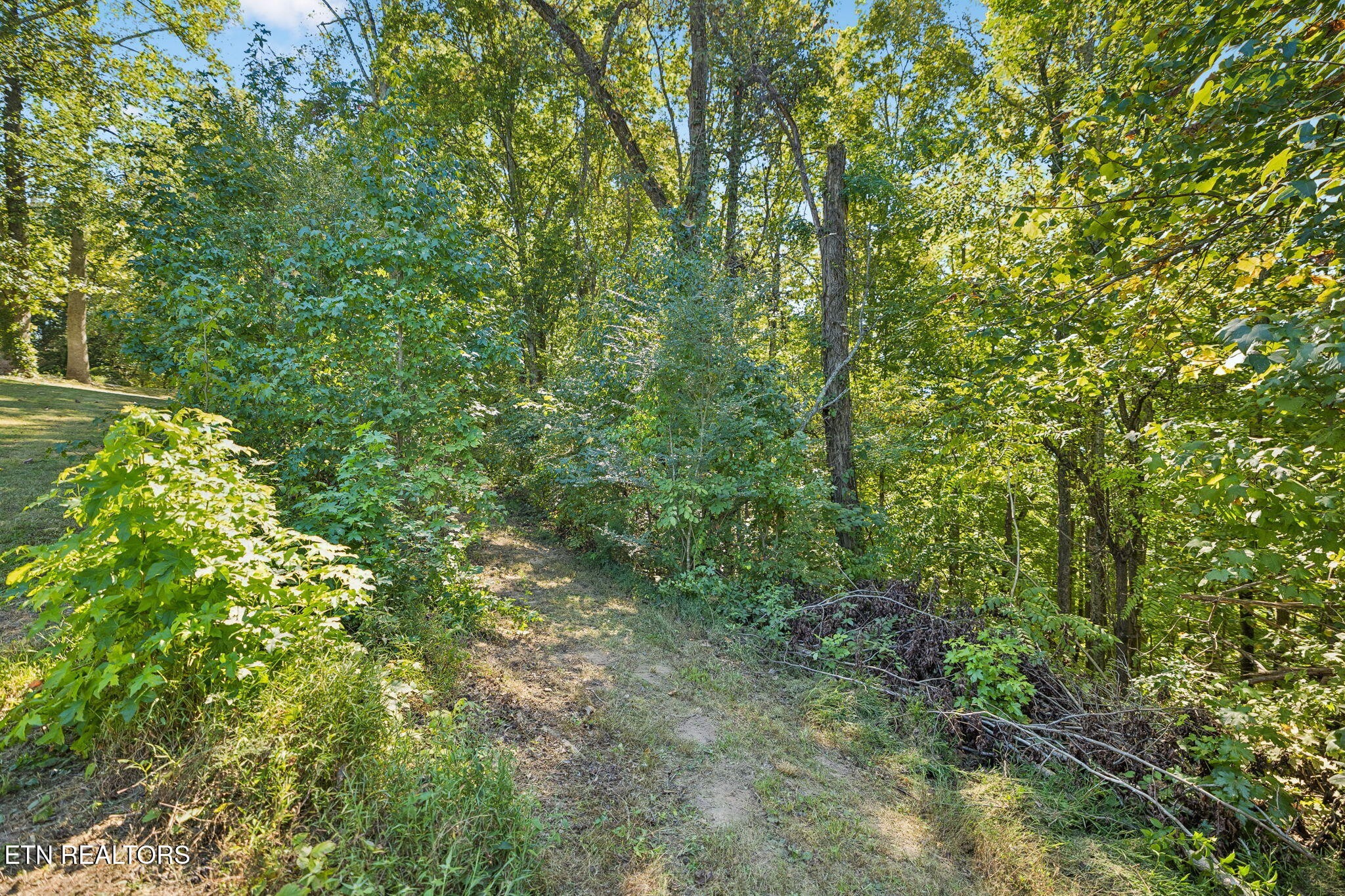 1813 Oak Grove Rd Property Photo 42