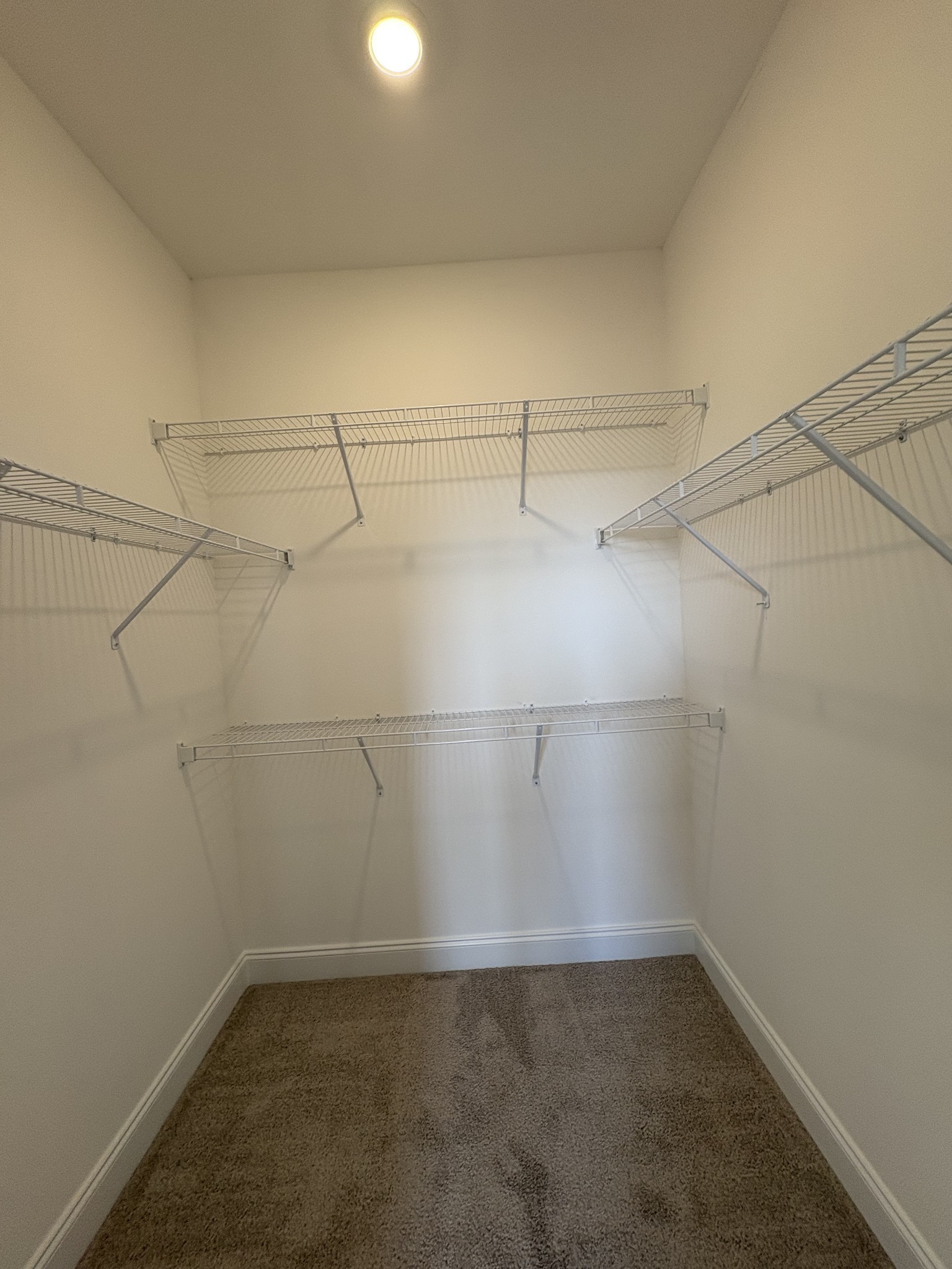 411 Penfold Alley Property Photo 16