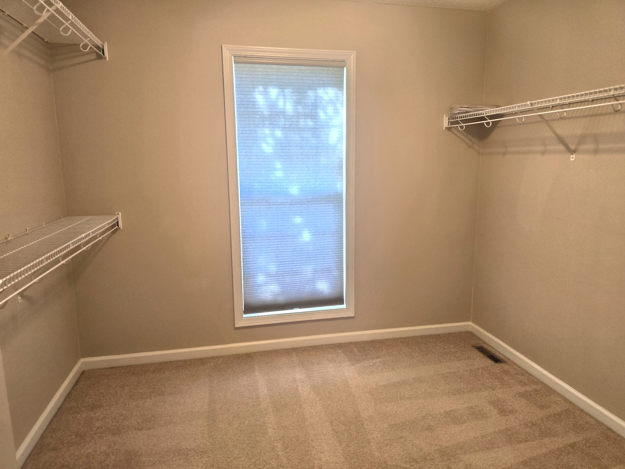4413 Taylor Hall Ln Property Photo 39