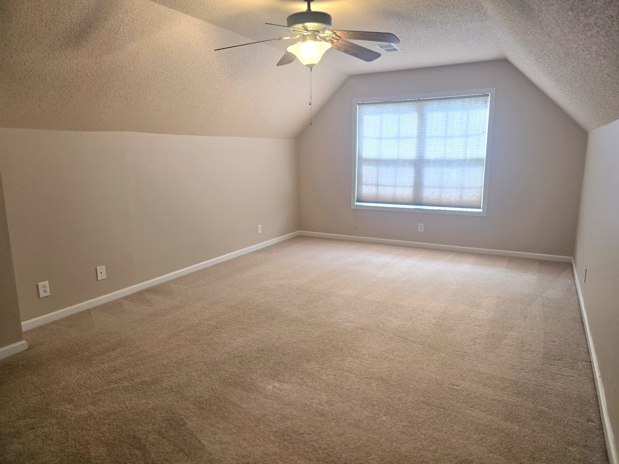 4413 Taylor Hall Ln Property Photo 41