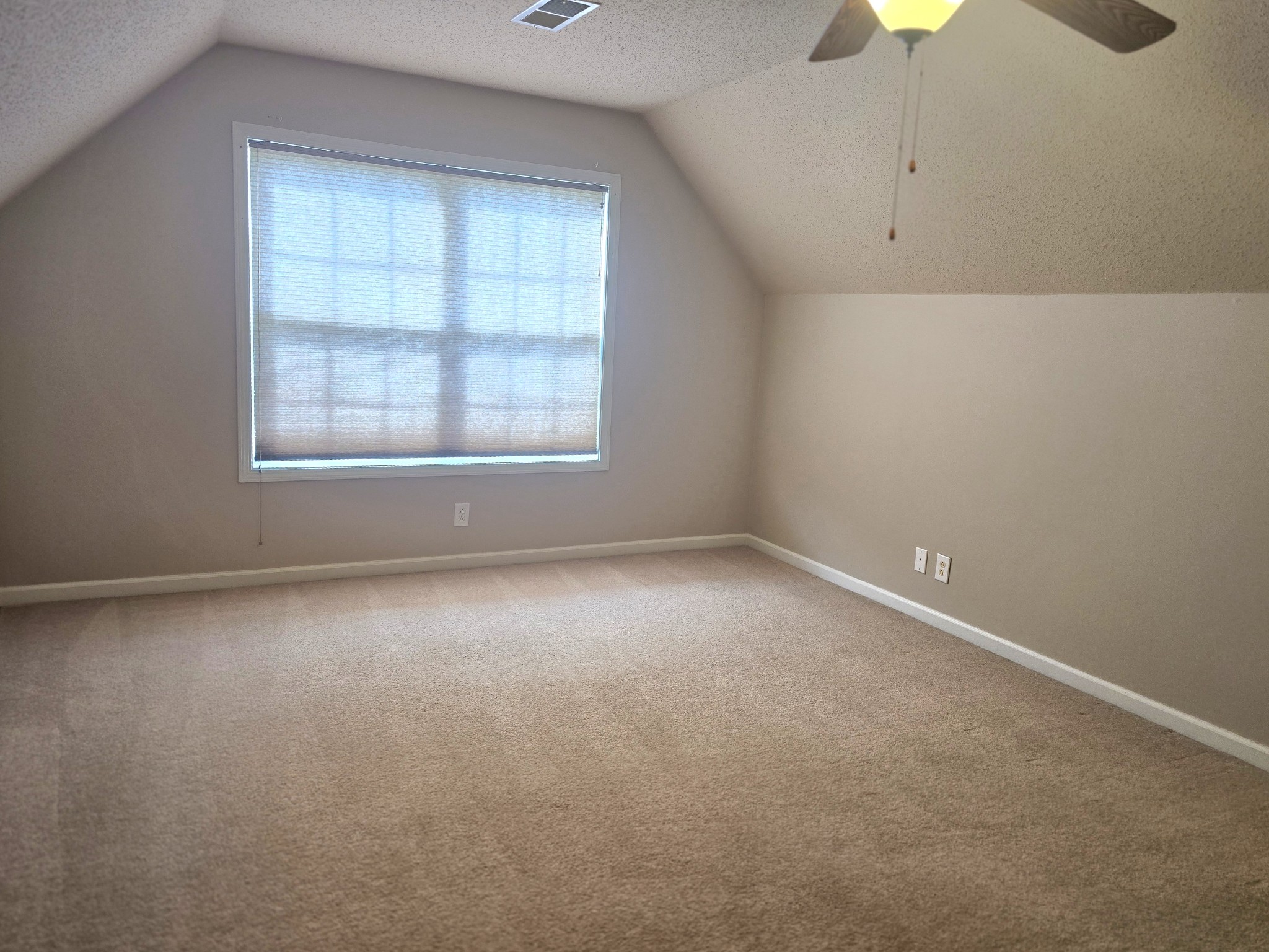 4413 Taylor Hall Ln Property Photo 42