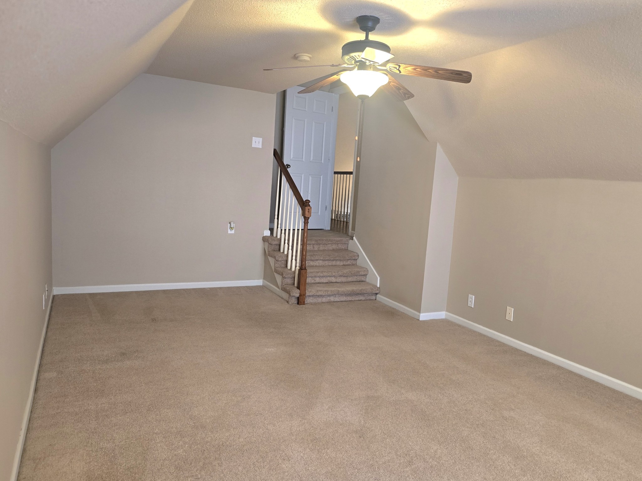 4413 Taylor Hall Ln Property Photo 44