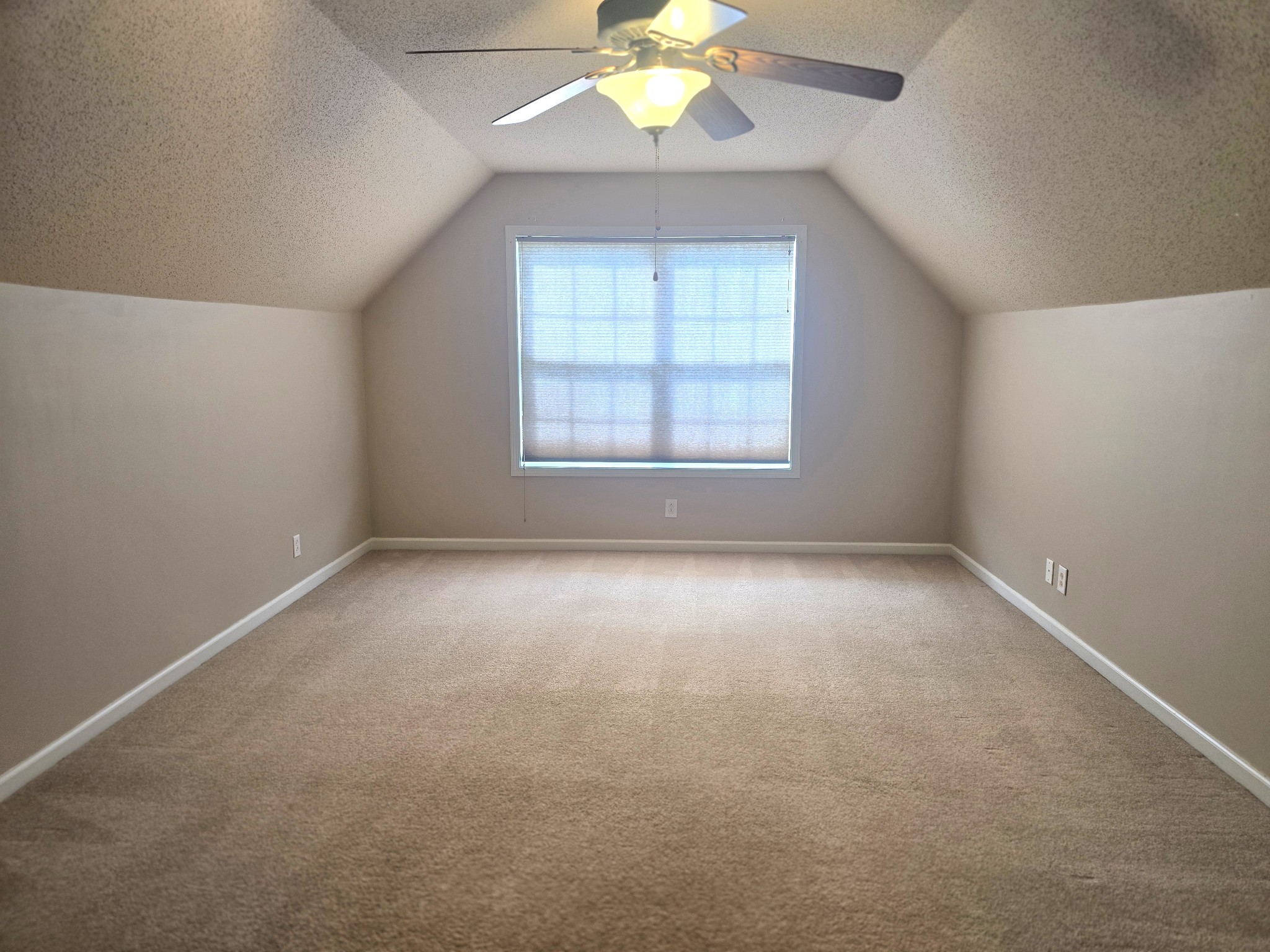 4413 Taylor Hall Ln Property Photo 45
