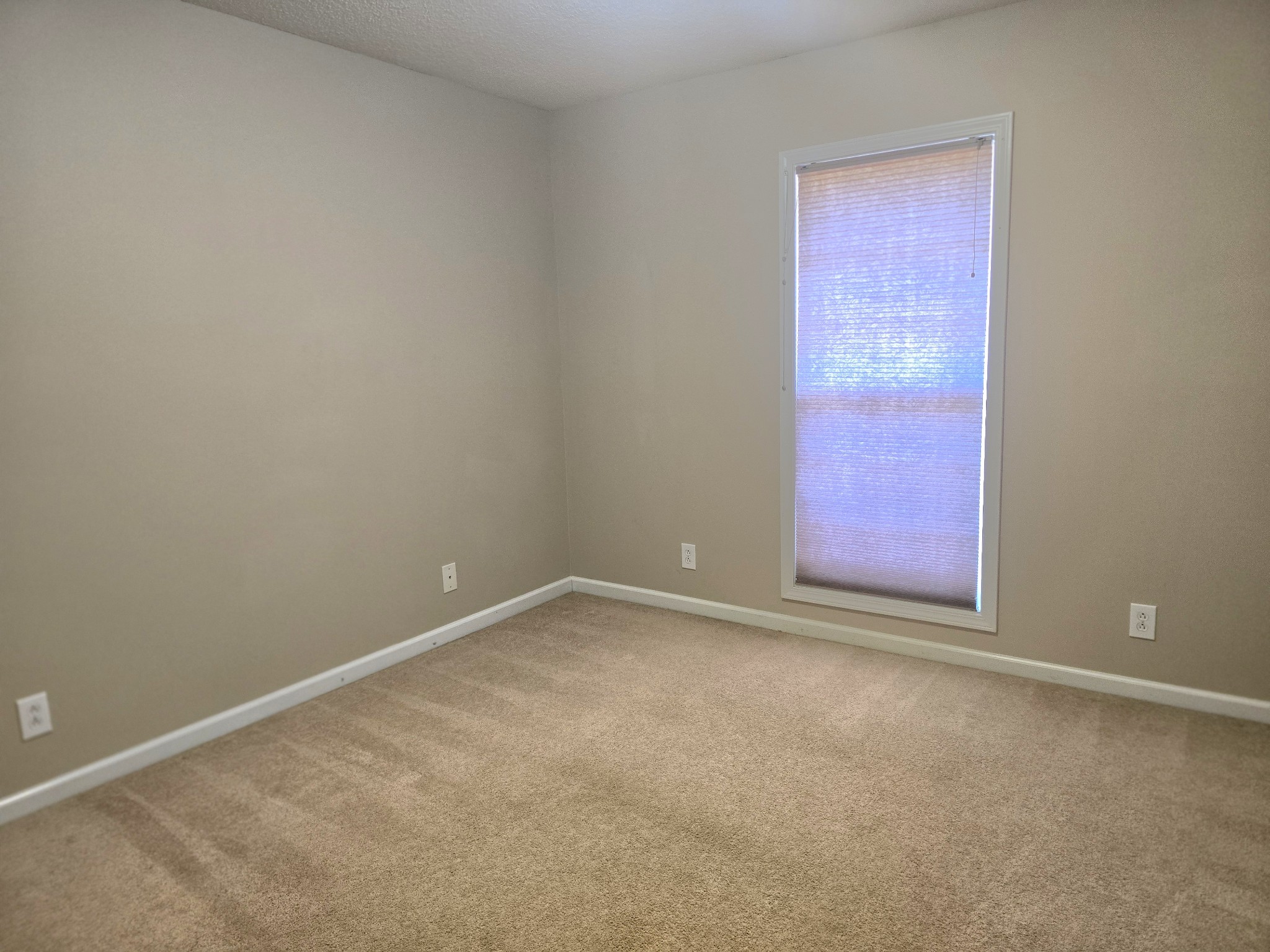 4413 Taylor Hall Ln Property Photo 50