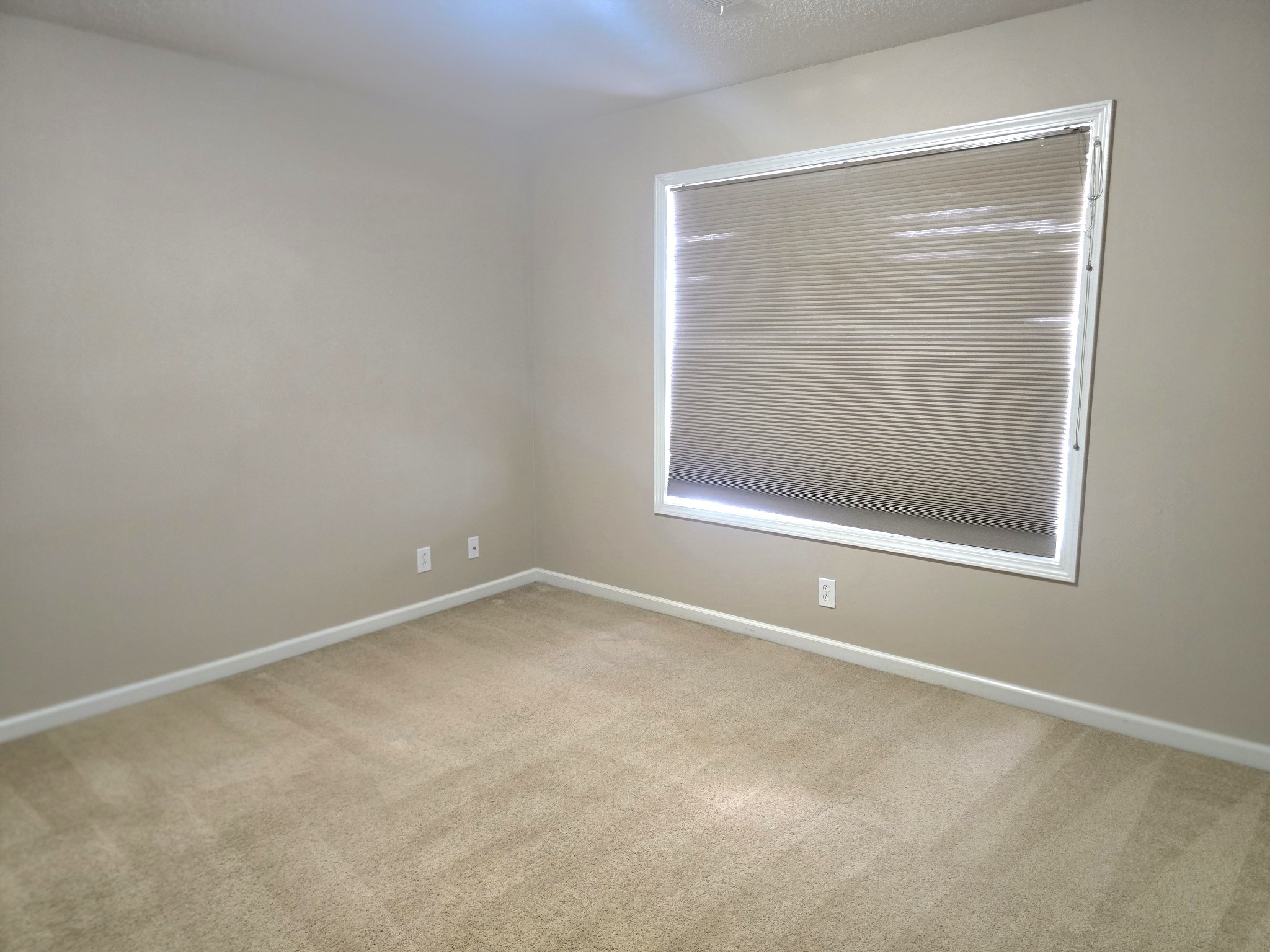 4413 Taylor Hall Ln Property Photo 52
